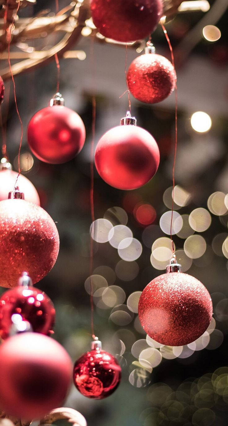 Download Brighten up your Holiday decoration with Red Christmas Balls! Wallpaper