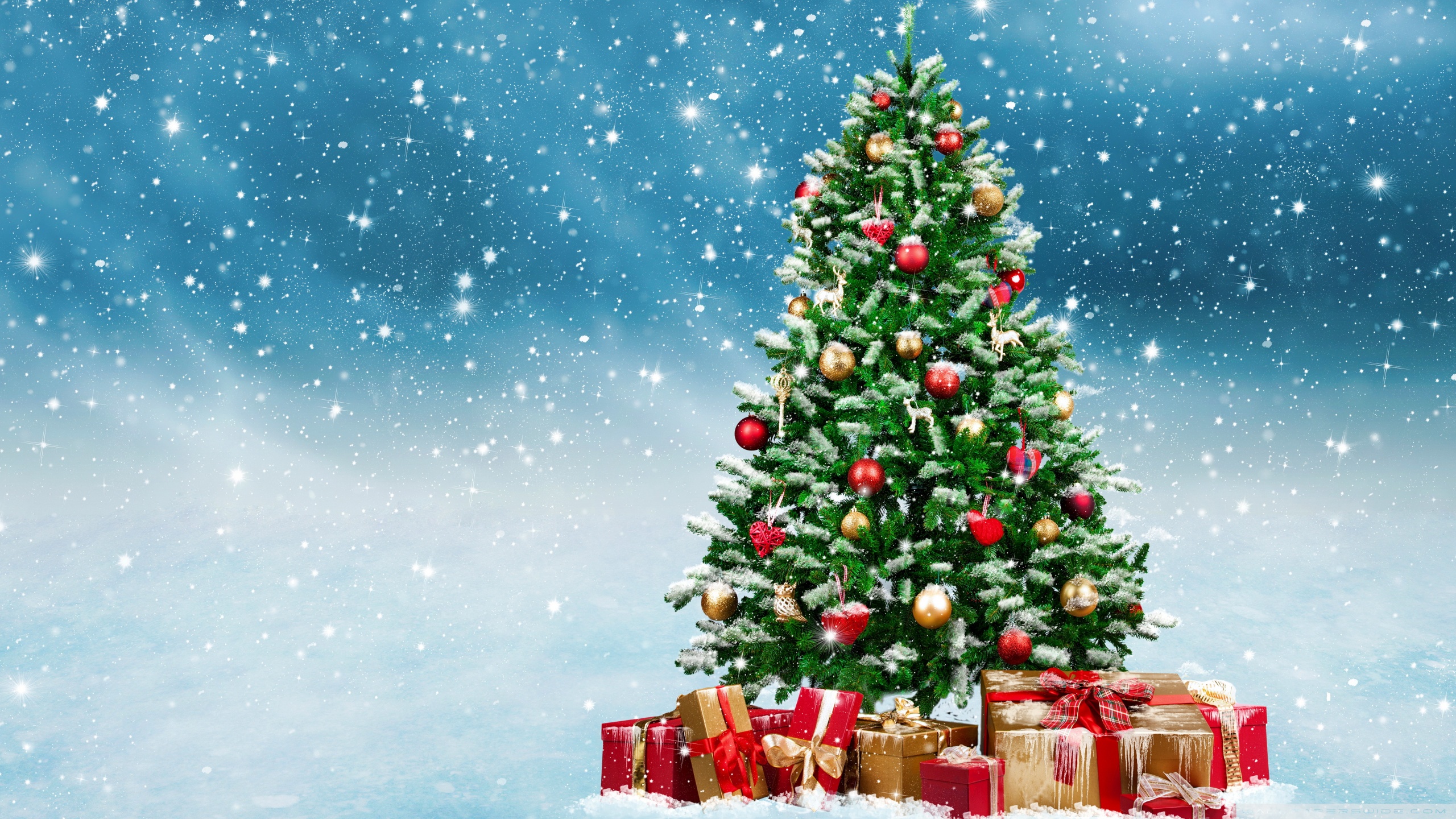 Christmas Trees Decorated in Red and Gold 4K UHD Wallpaper for UltraHD Desktop and TV, Widescreen and UltraWide Display, Smartphone and Tablet Devices