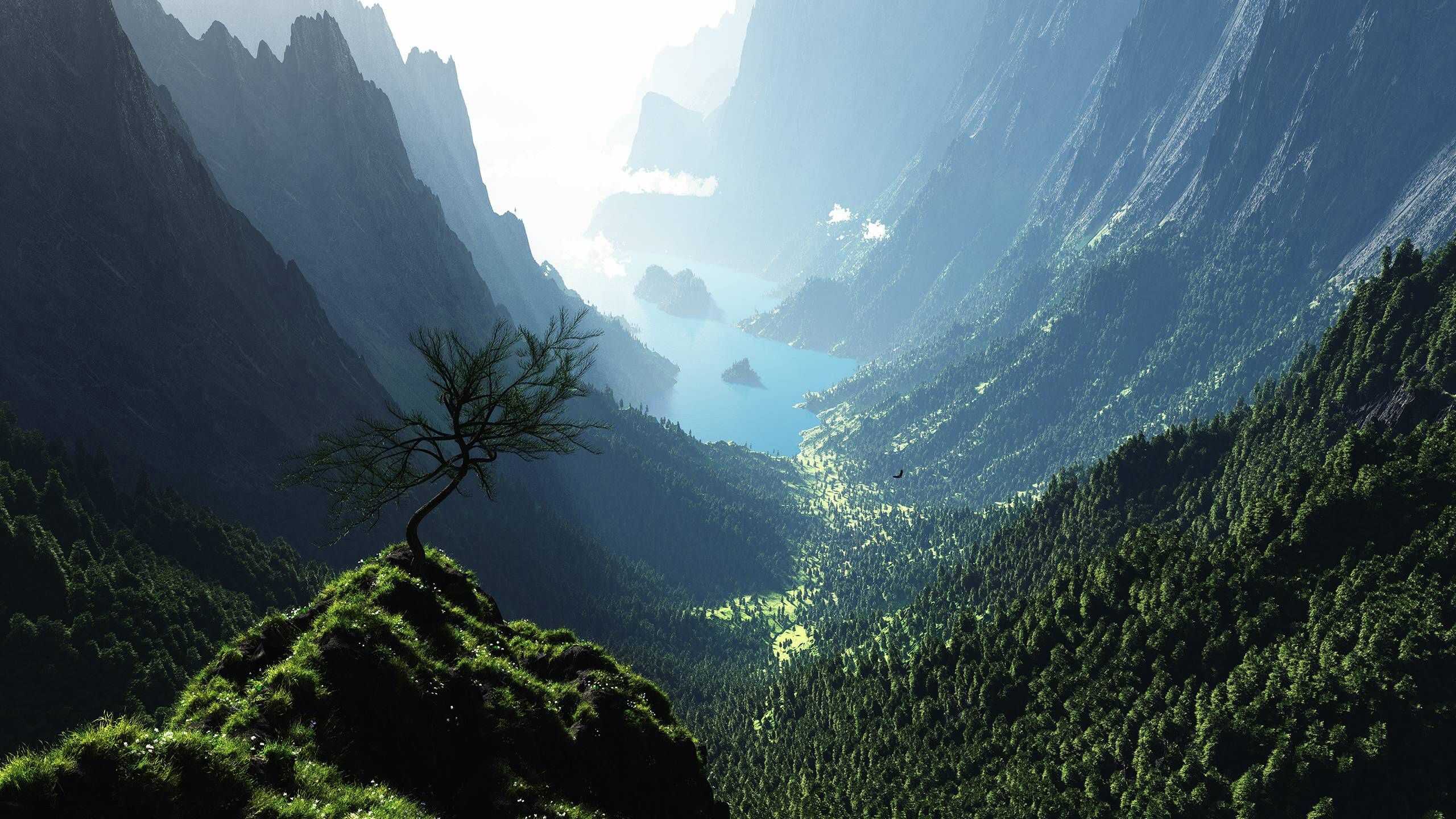 HD 1440p Wallpaper