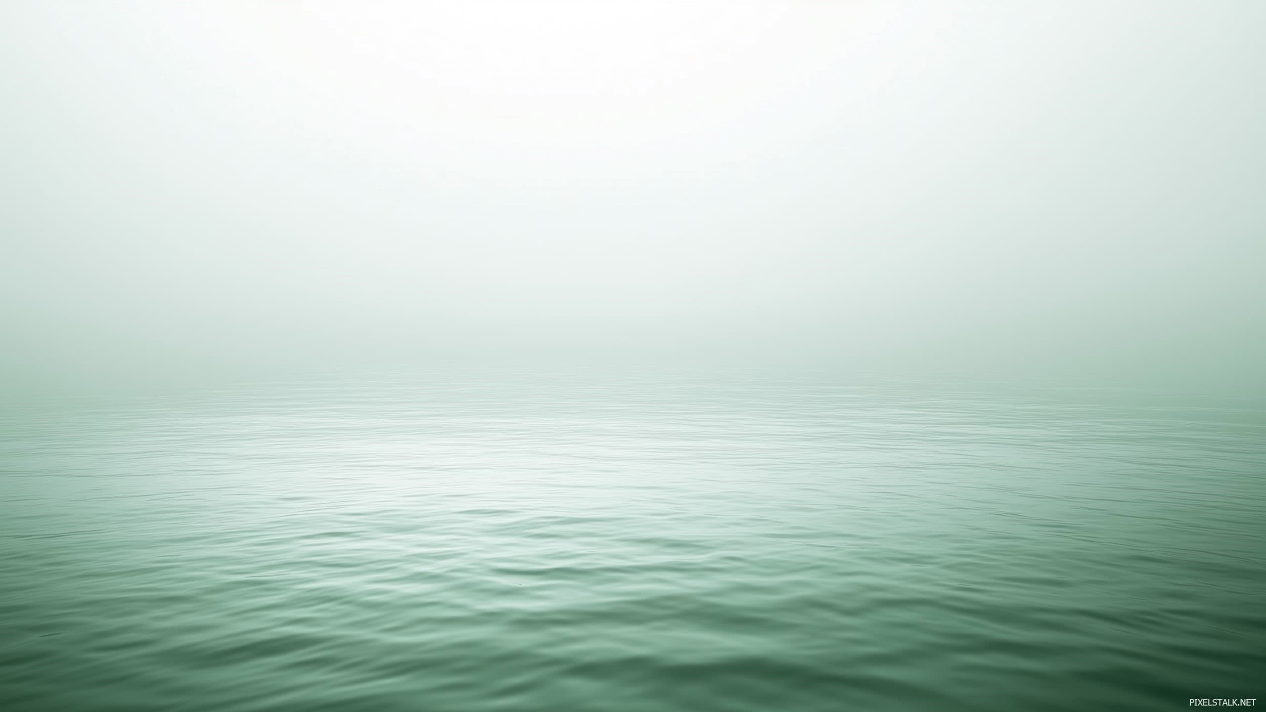 Light Green Wallpaper