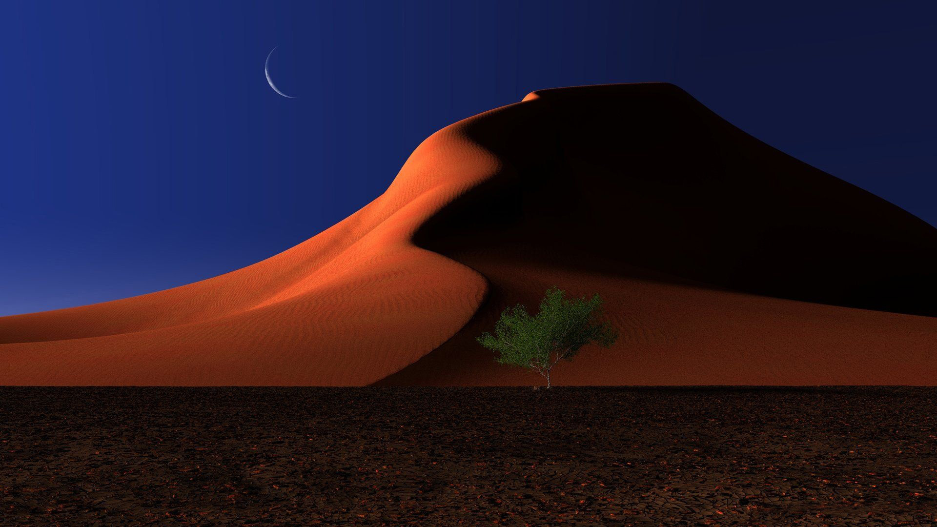 Wallpaper sand, trees, night, the moon, desert, dunes, digital, respite for mobile and desktop, section рендеринг, resolution 1920x1080