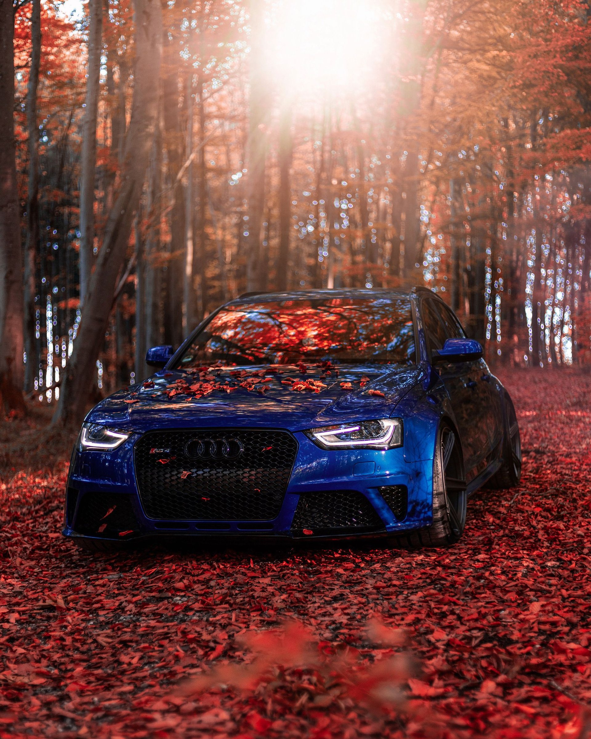 AUDI RS4 Avant B8 KV1 grau matt