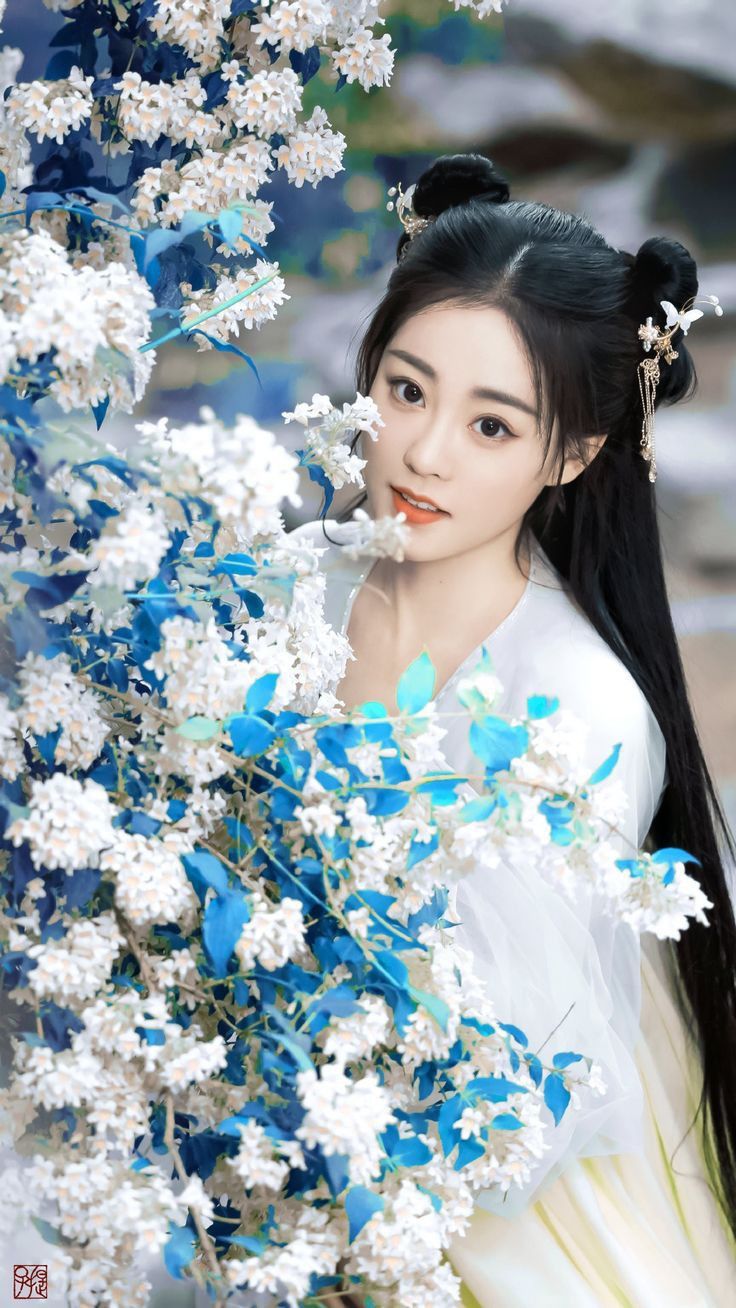 Zhu Xudan Miss The Dragon