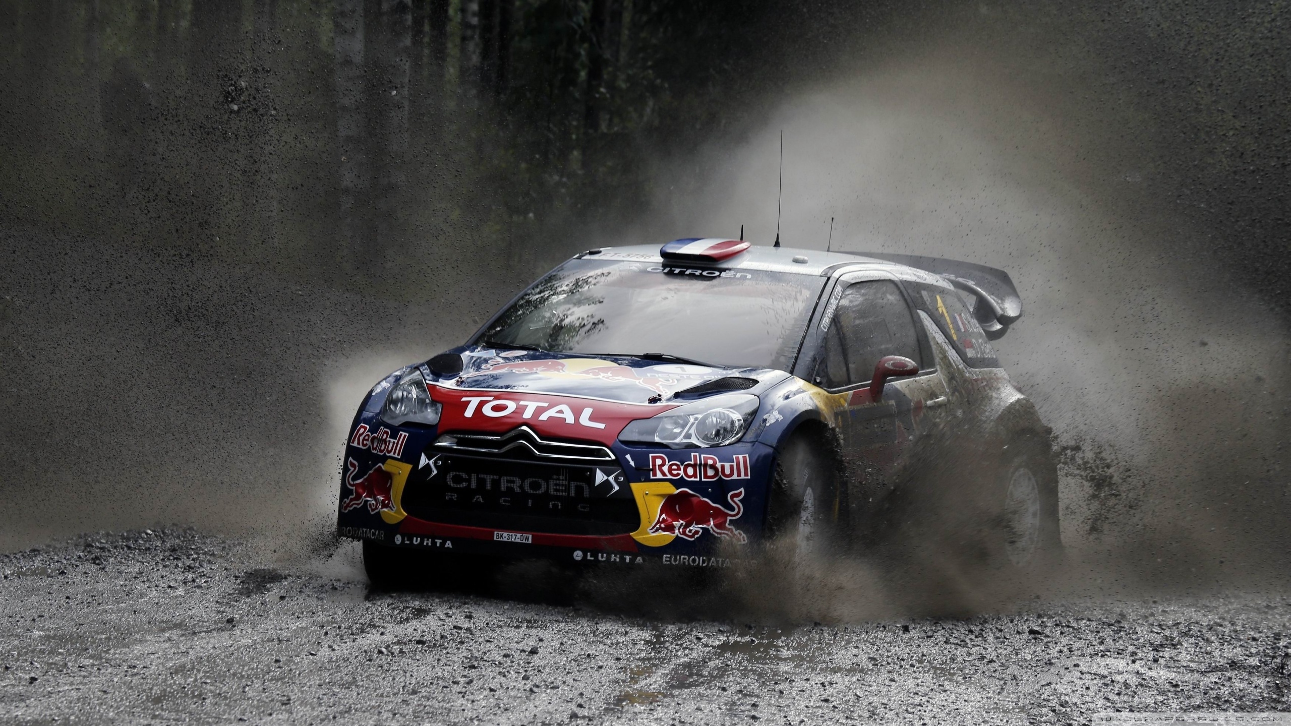 Citroen Rally WRC Redbull 4K UHD Wallpaper for UltraHD Desktop and TV, Dual Monitor, Smartphone and Tablet Devices