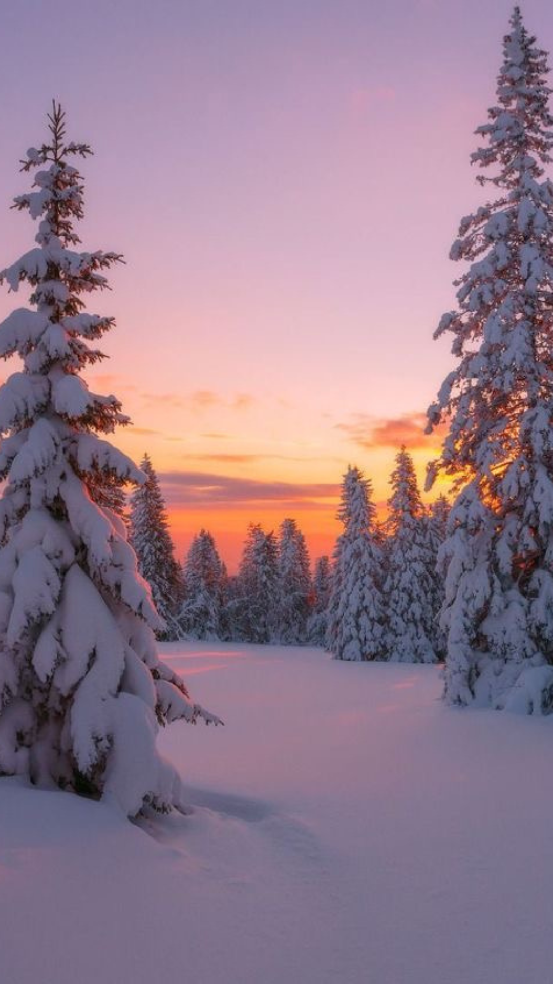 FREE Winter iPhone Wallpaper (Cozy & Aesthetic)