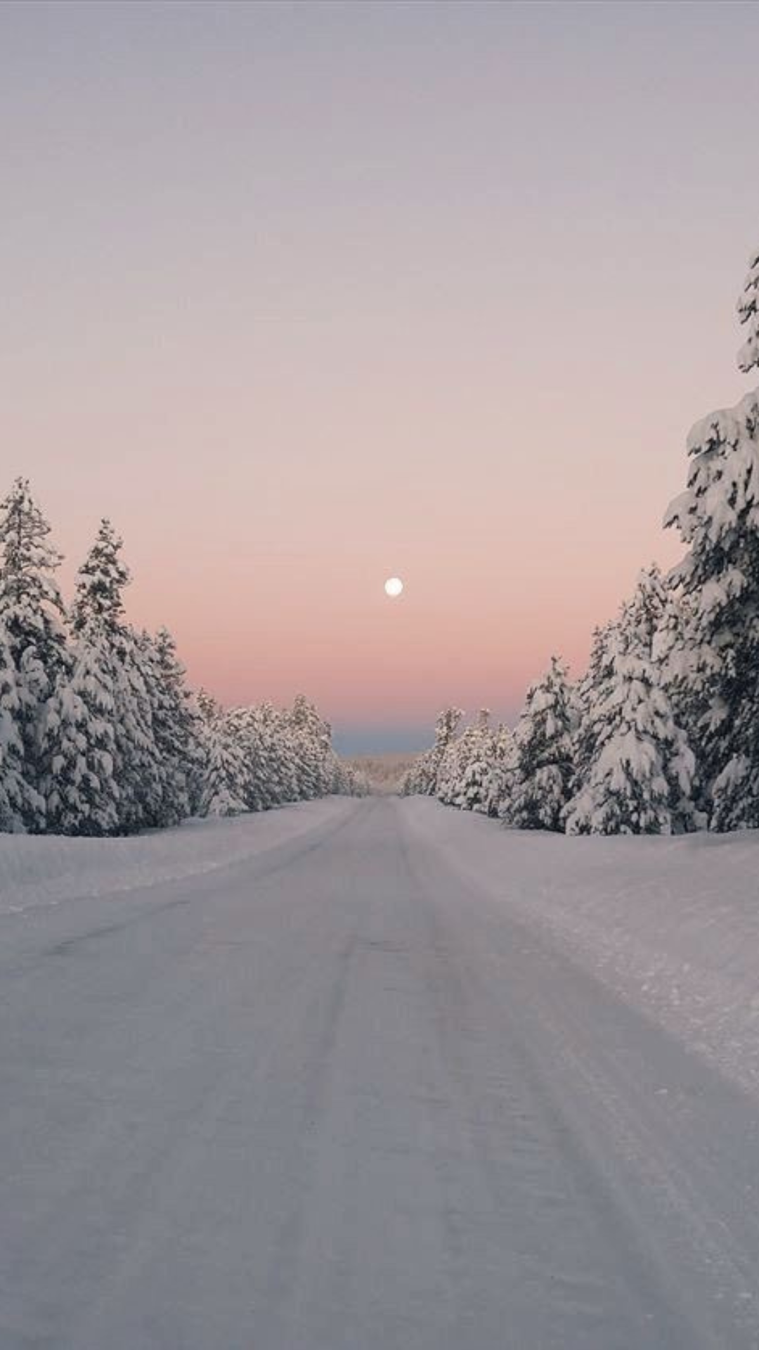 FREE Winter iPhone Wallpaper (Cozy & Aesthetic)