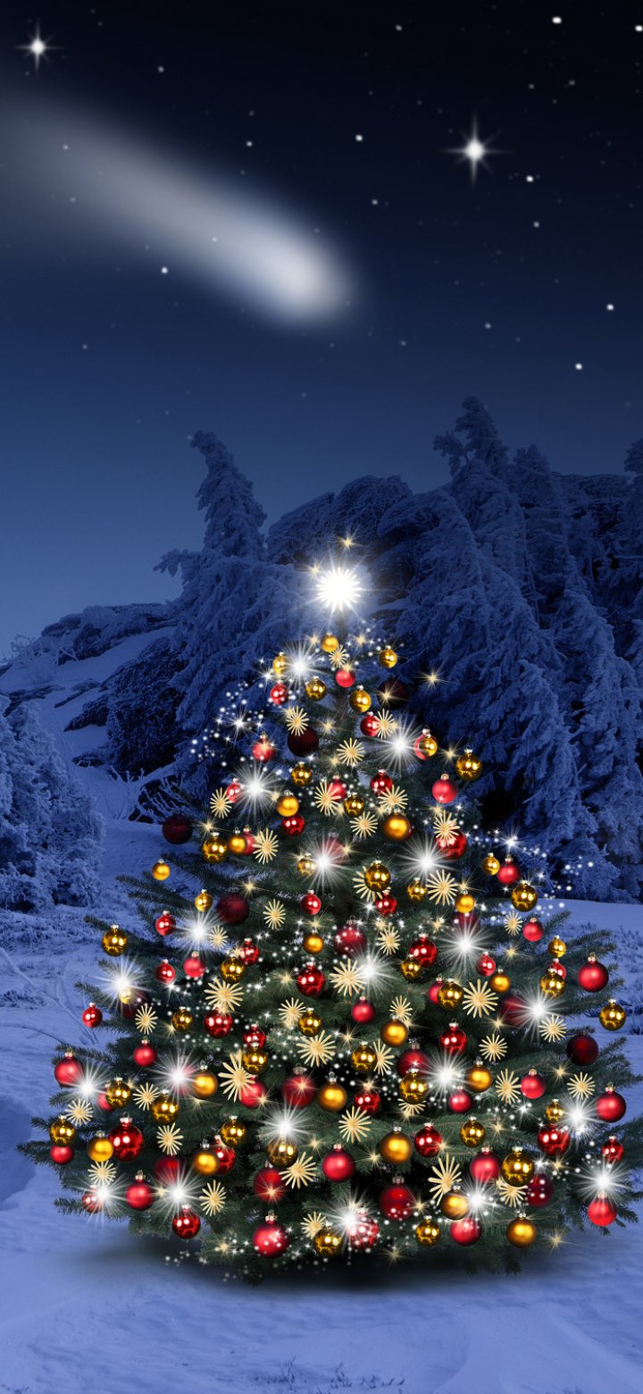 Download Snow Winter Light Christmas Tree Holiday Christmas Phone Wallpaper