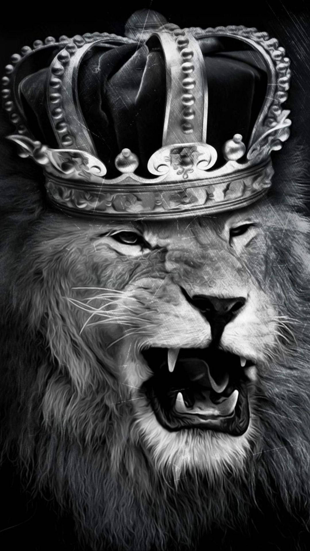 Download Growling Lion King Wallpaper
