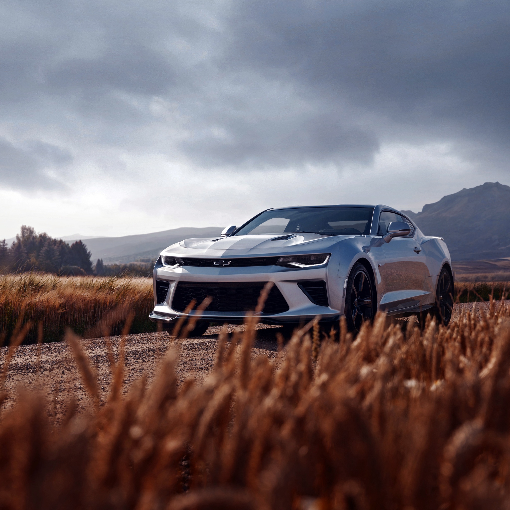 Chevrolet Camaro SS Wallpaper 4K, Sports car, Digital Art