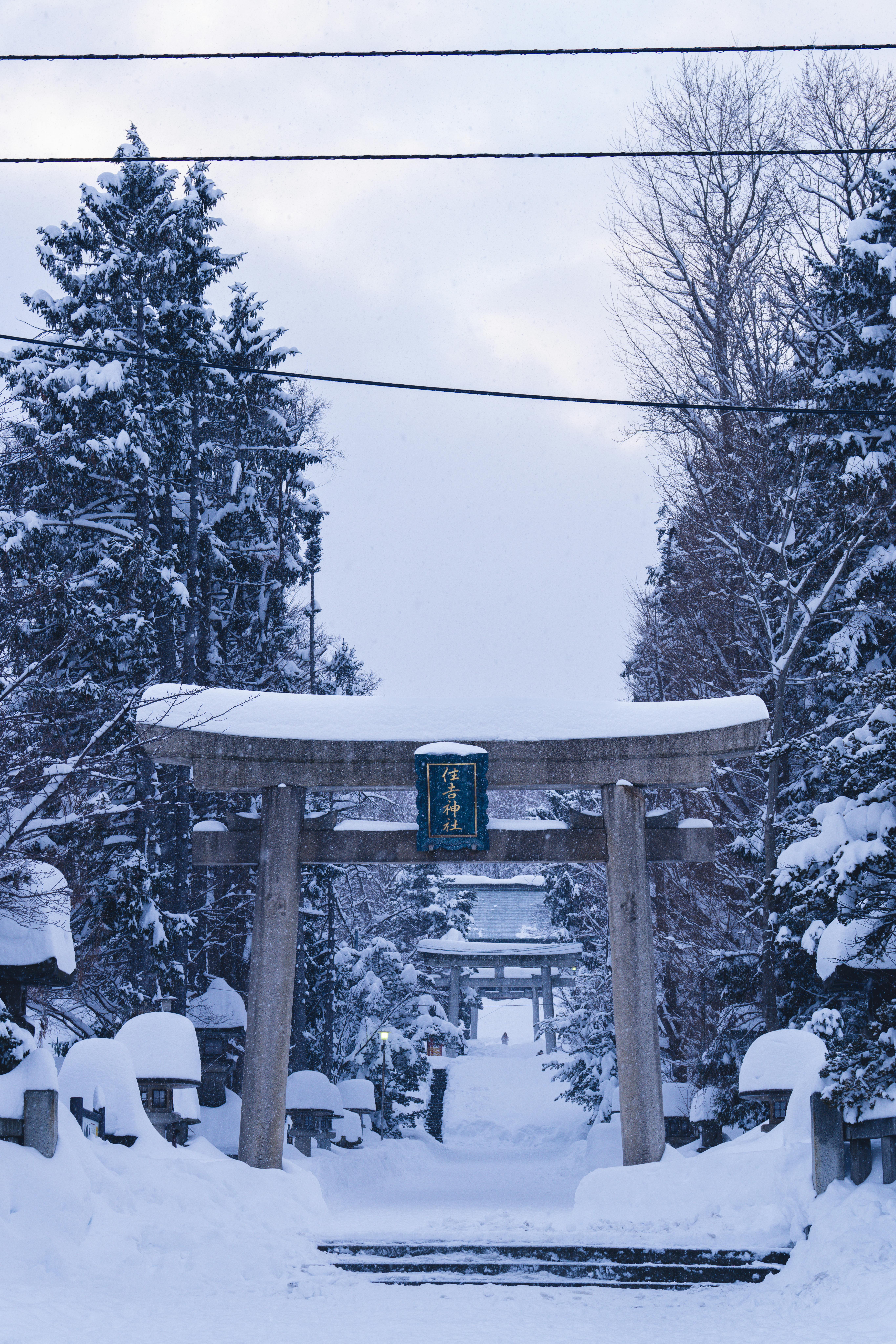 Snowy Scene with Torii Gate in Sapporo · Free