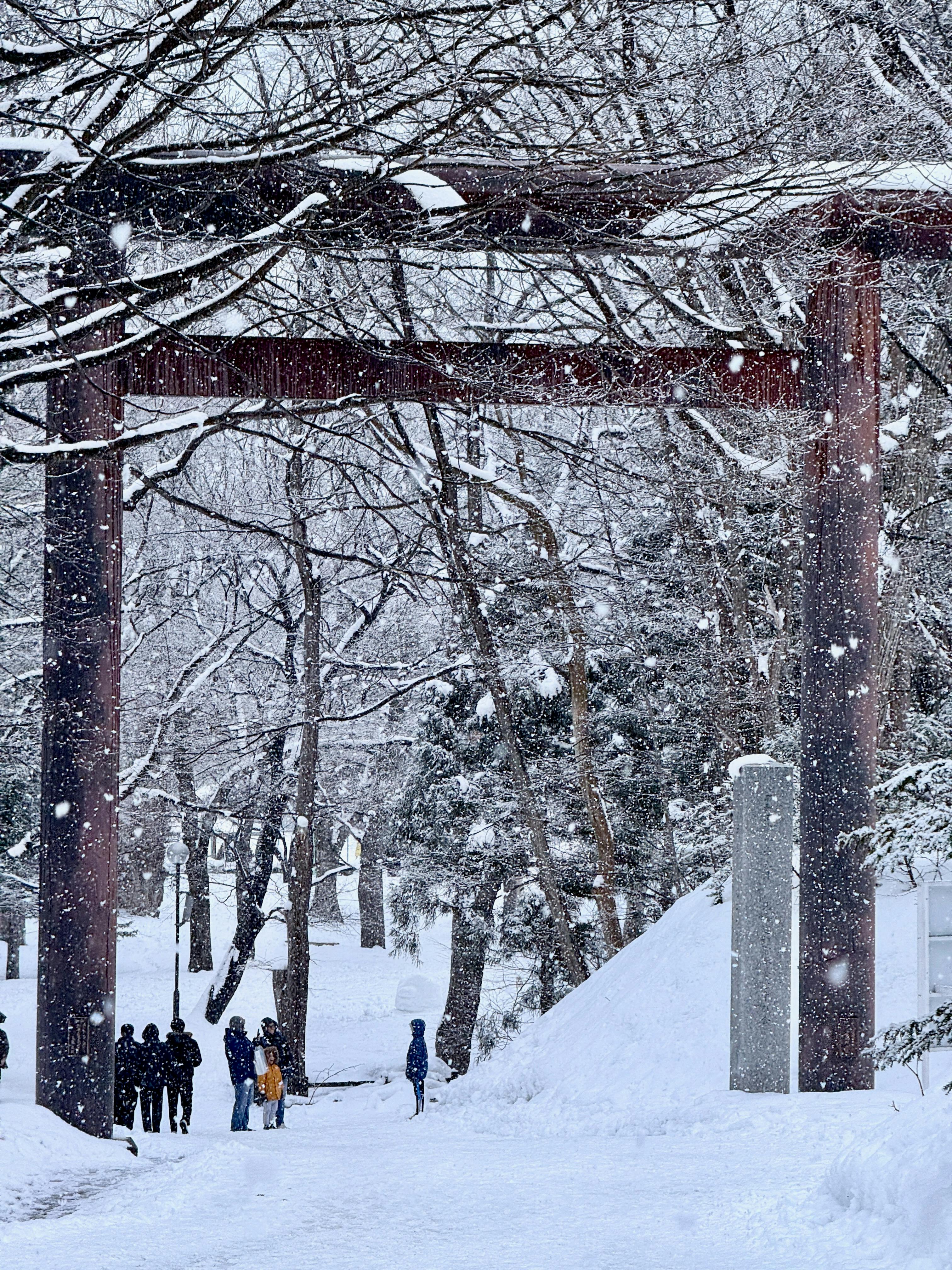 Snowy Scene with Torii Gate in Sapporo · Free
