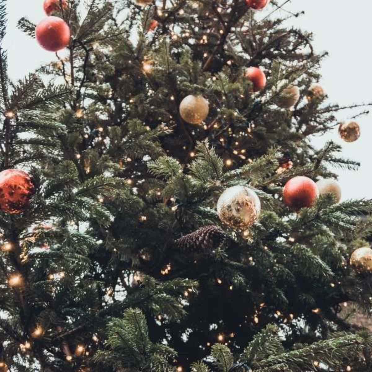 How to Make Outdoor Christmas Tree out of Lights