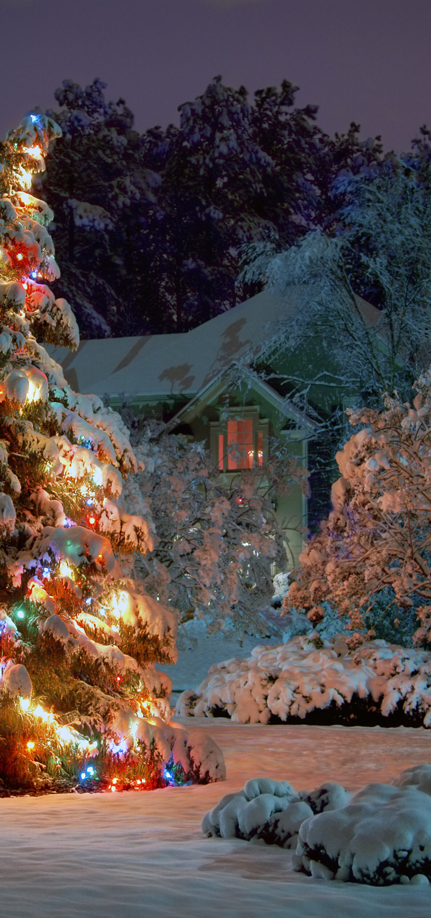 Zero Waste Holiday Archives Zero Waste Family®