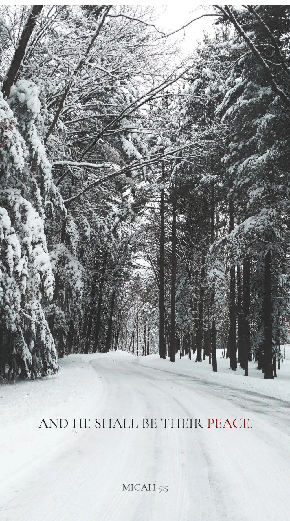 Christmas Scripture Phone Background