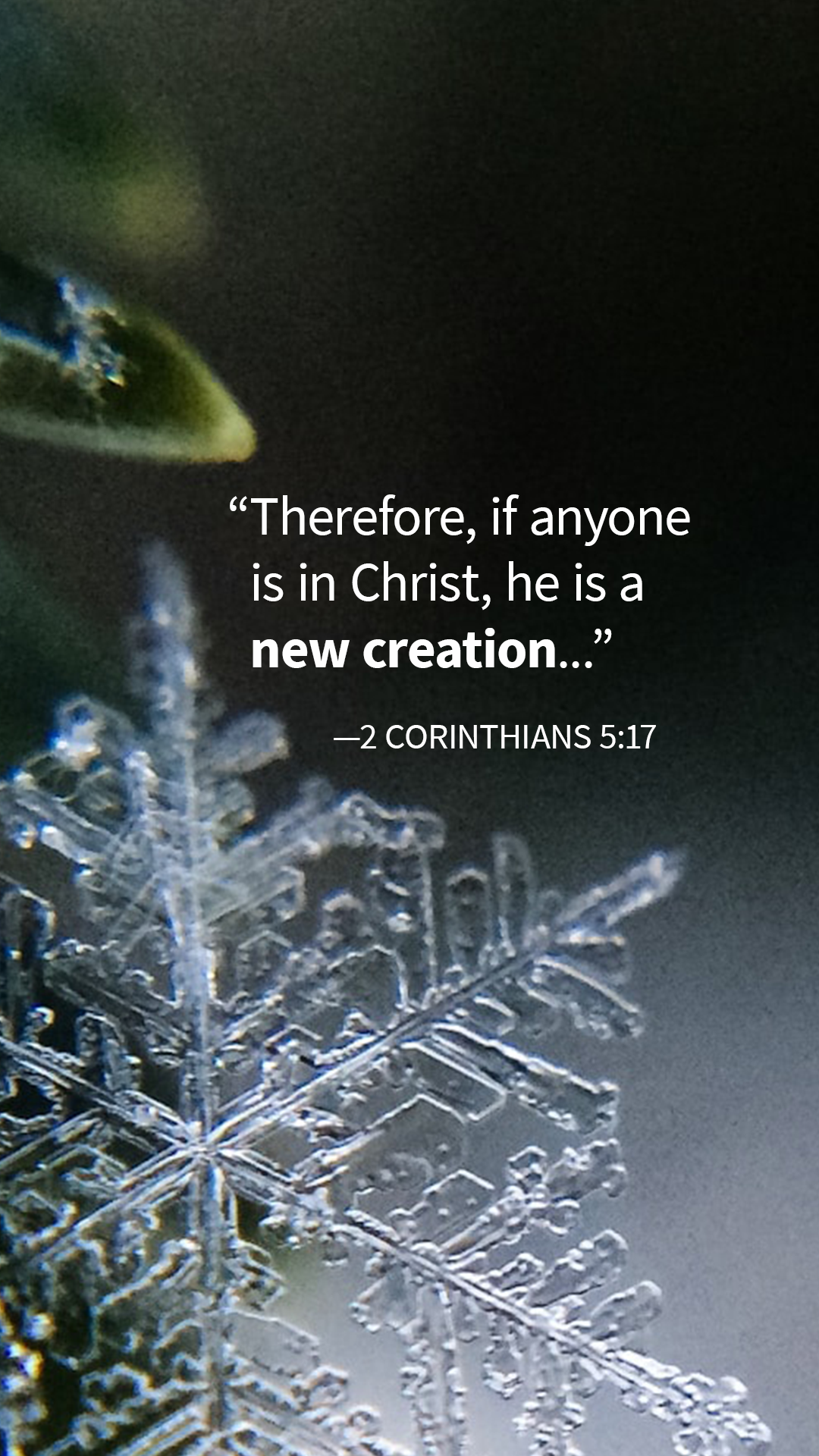 Christmas Phone Wallpaper