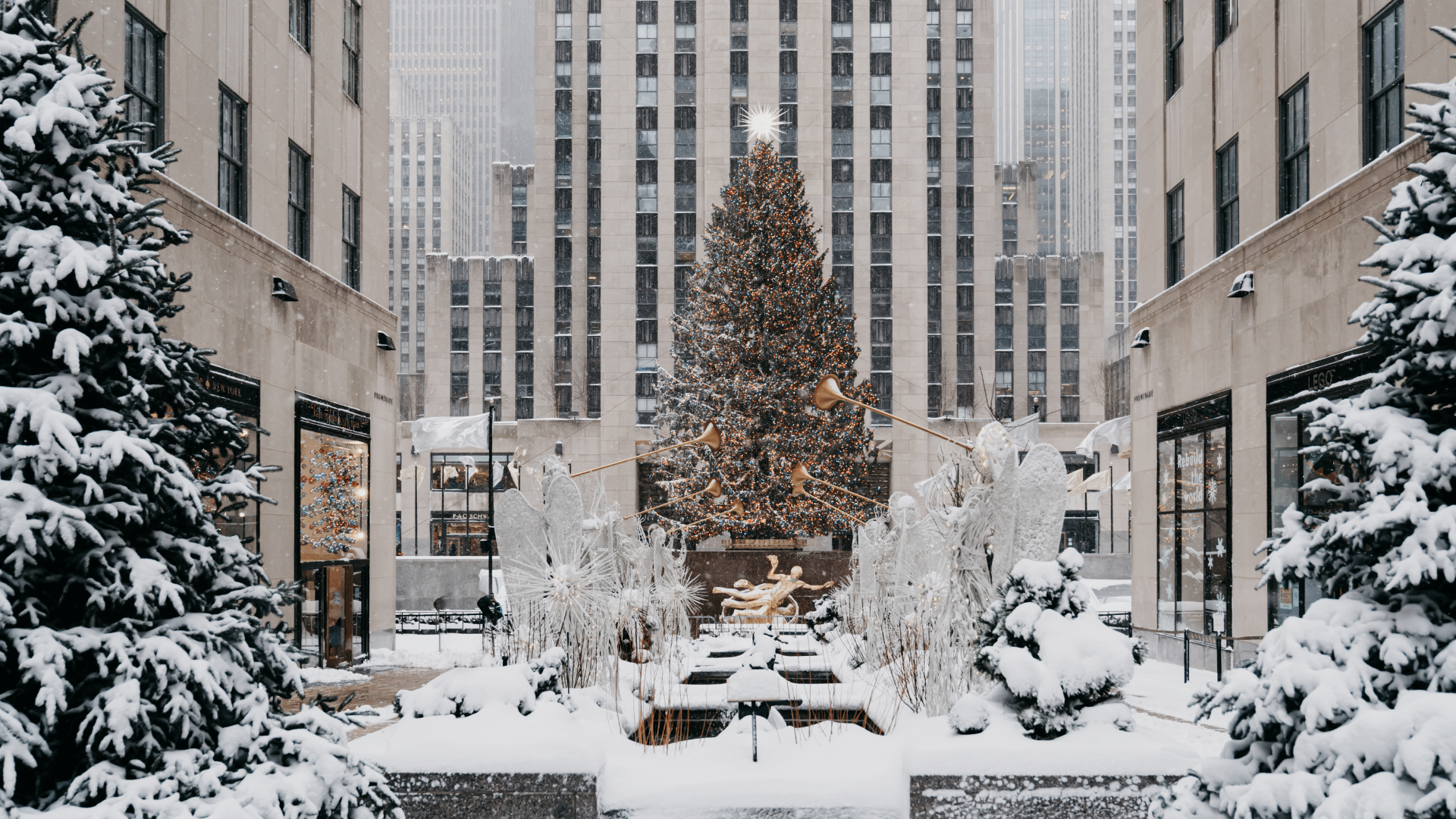 Christmas in New York 2025. Best Things to Do