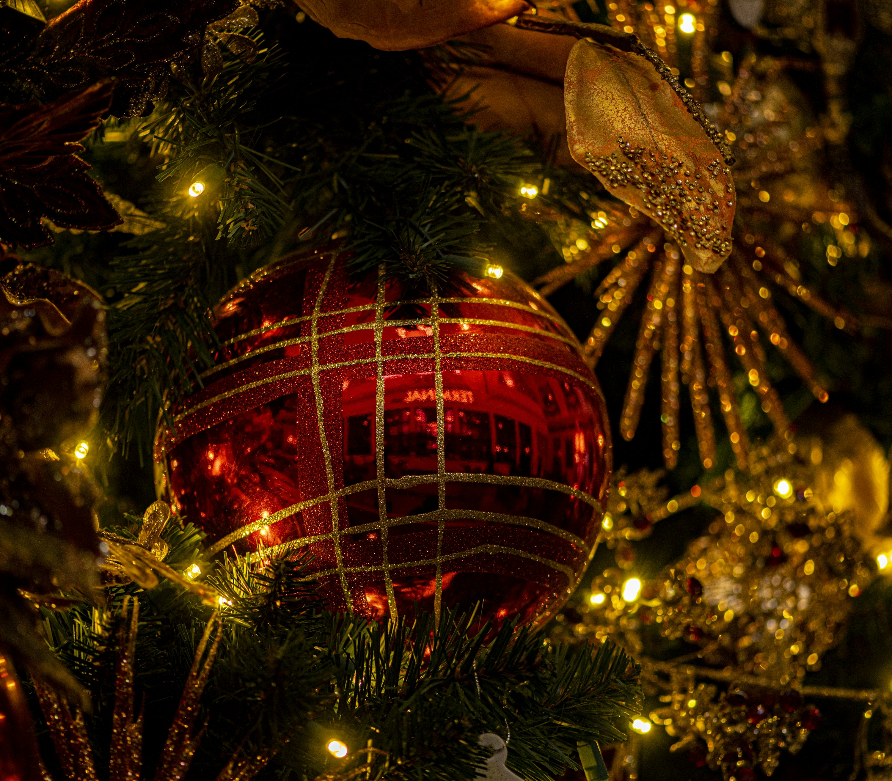 Macro photography of red baubles on Christmas tree photo