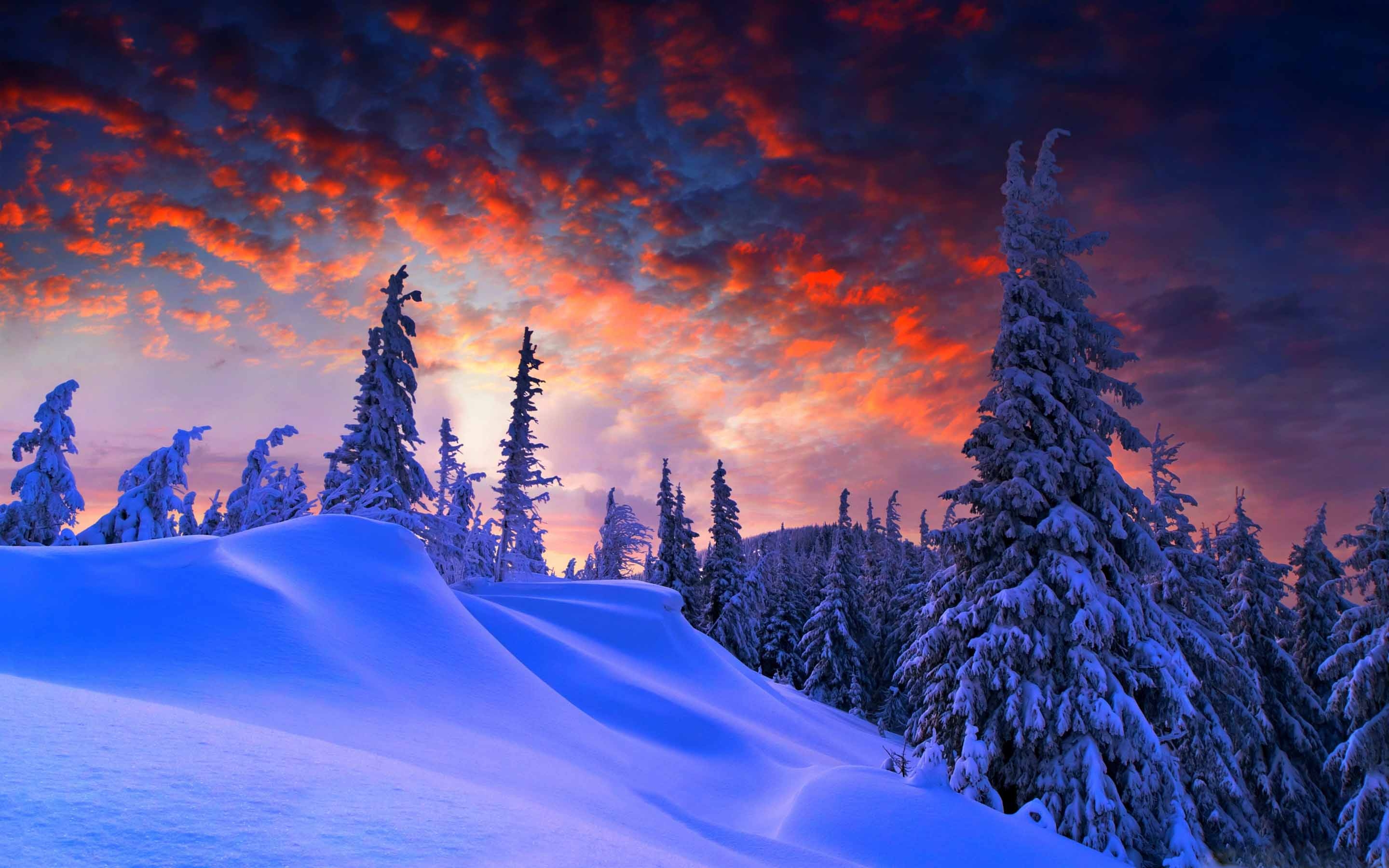Winter Christmas MacBook Air Wallpaper Download
