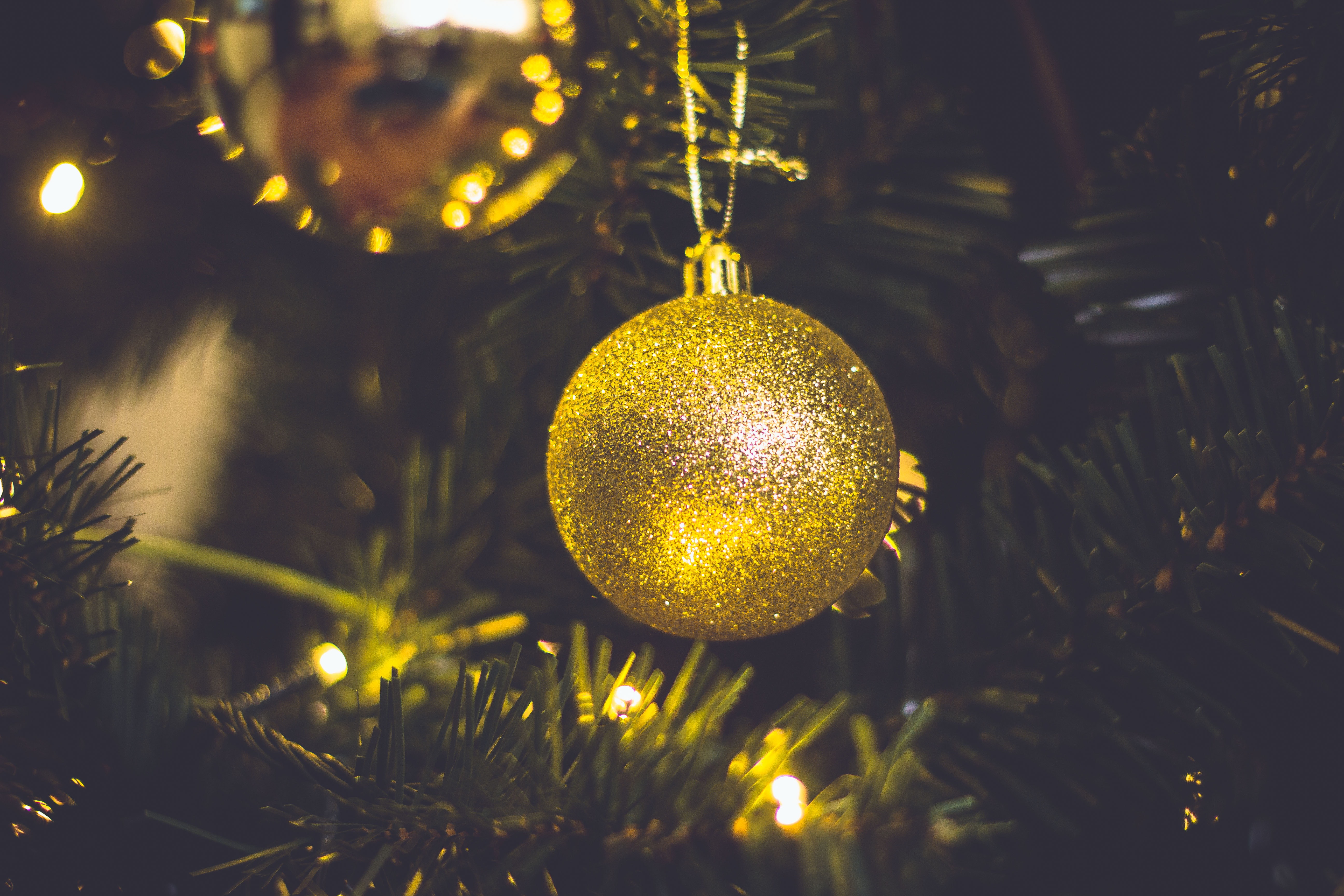Free Image, yellow, christmas decoration, lighting, macro photography, christmas ornament, computer wallpaper, night, sphere, christmas tree, holiday, fir, evergreen, christmas lights 5184x3456