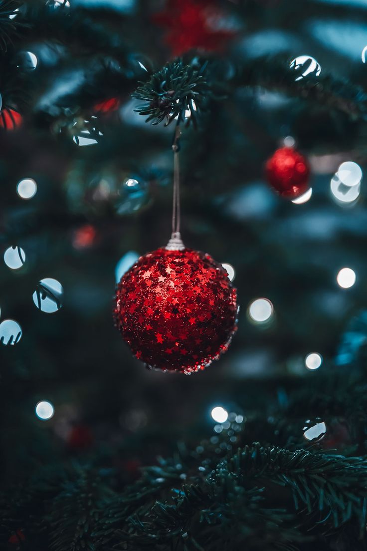 Christmas sparkle by Kristīne (macro.viewpoint)