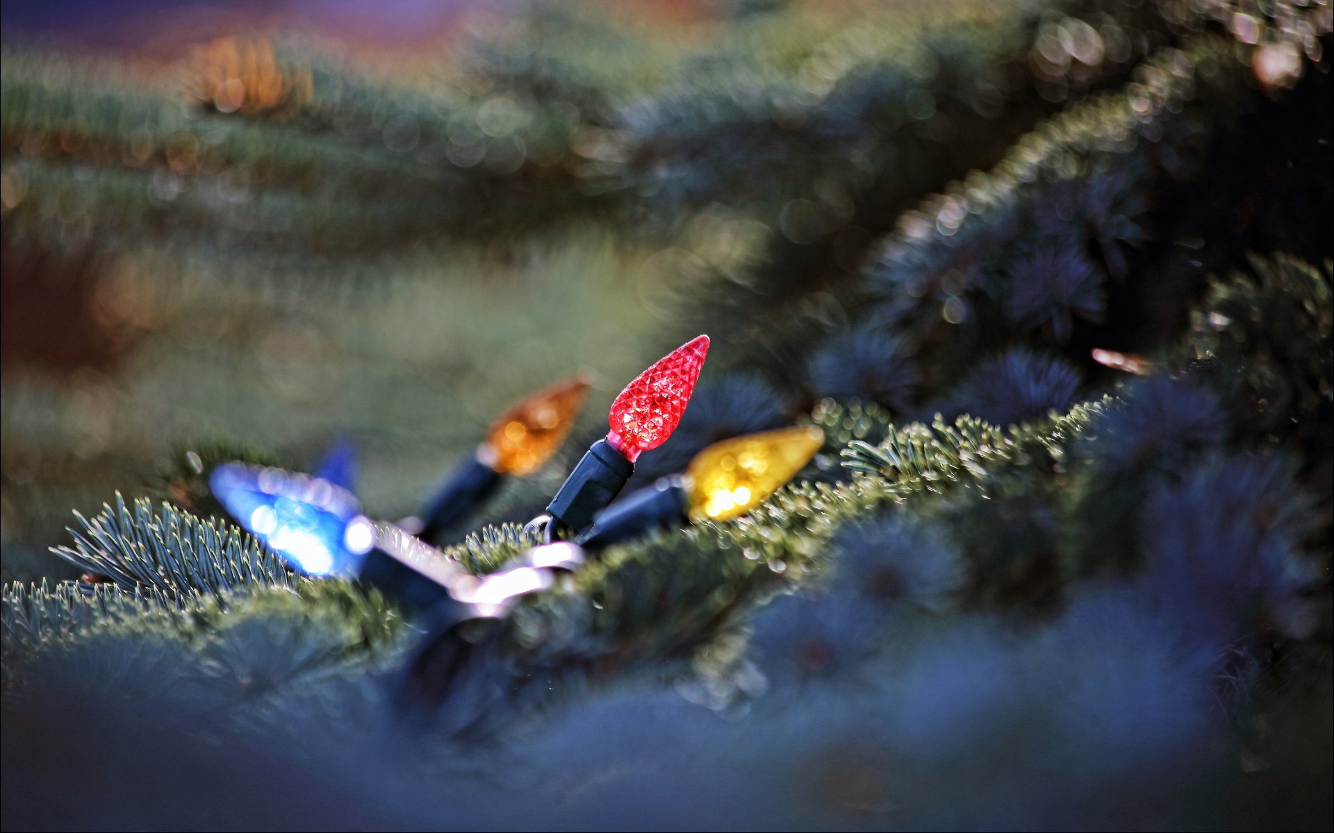 Download Branch Light Macro Holiday Christmas 4k Ultra HD Wallpaper