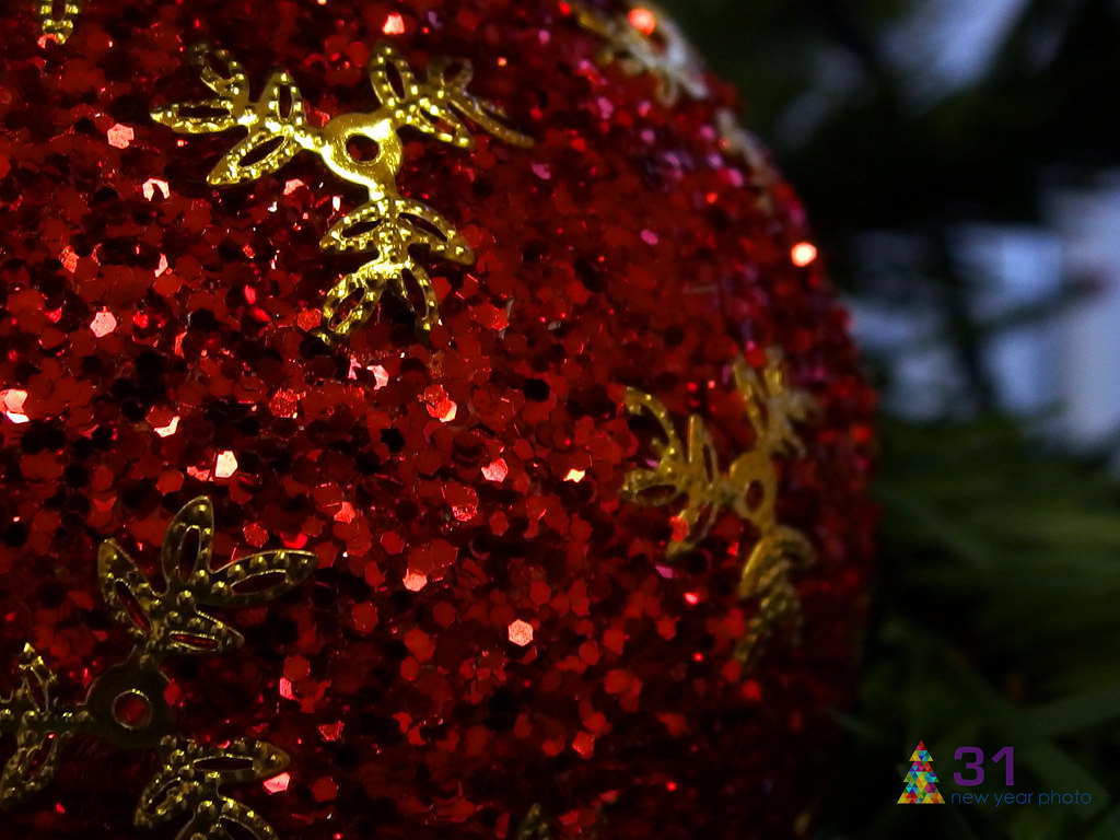 Macro Christmas Again 9th Day. OLYMPUS DIGITAL CAMERA