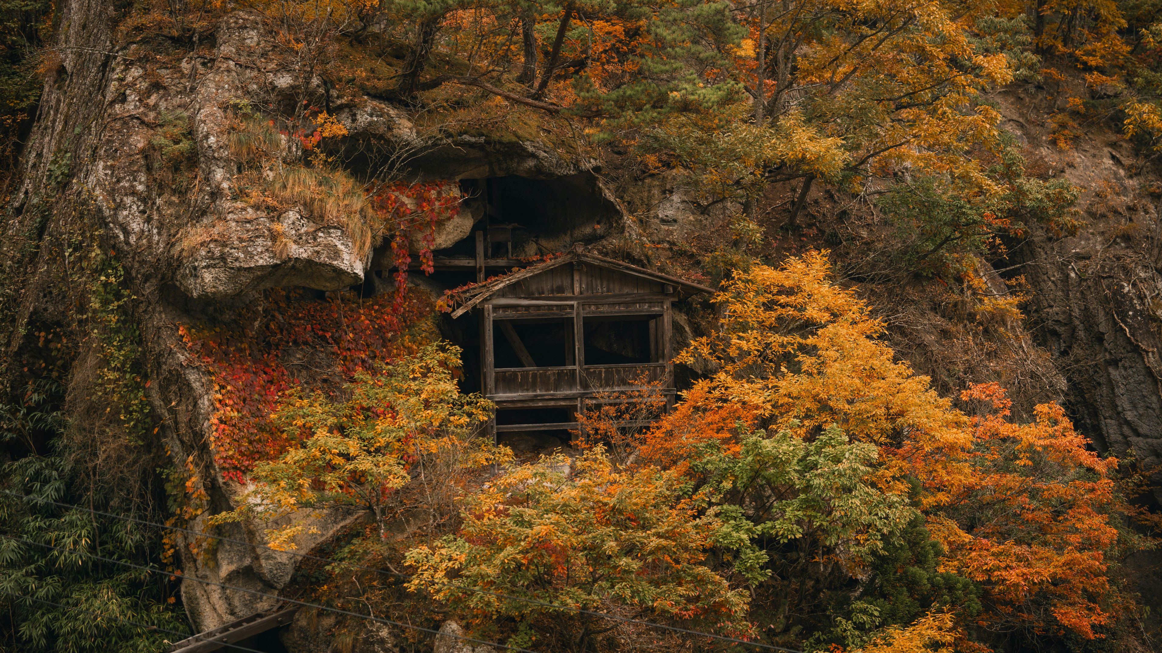 Rustic Cabin Hidden in Fall Forest Cliff colorful autumn leaves trees branches 4K HD Travel Wallpaper