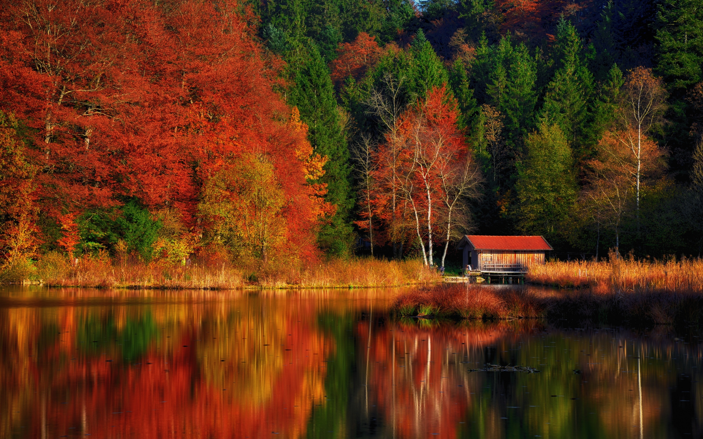 Autumn Scenery Wallpaper 4K, Lakeside, Colourful, Forest