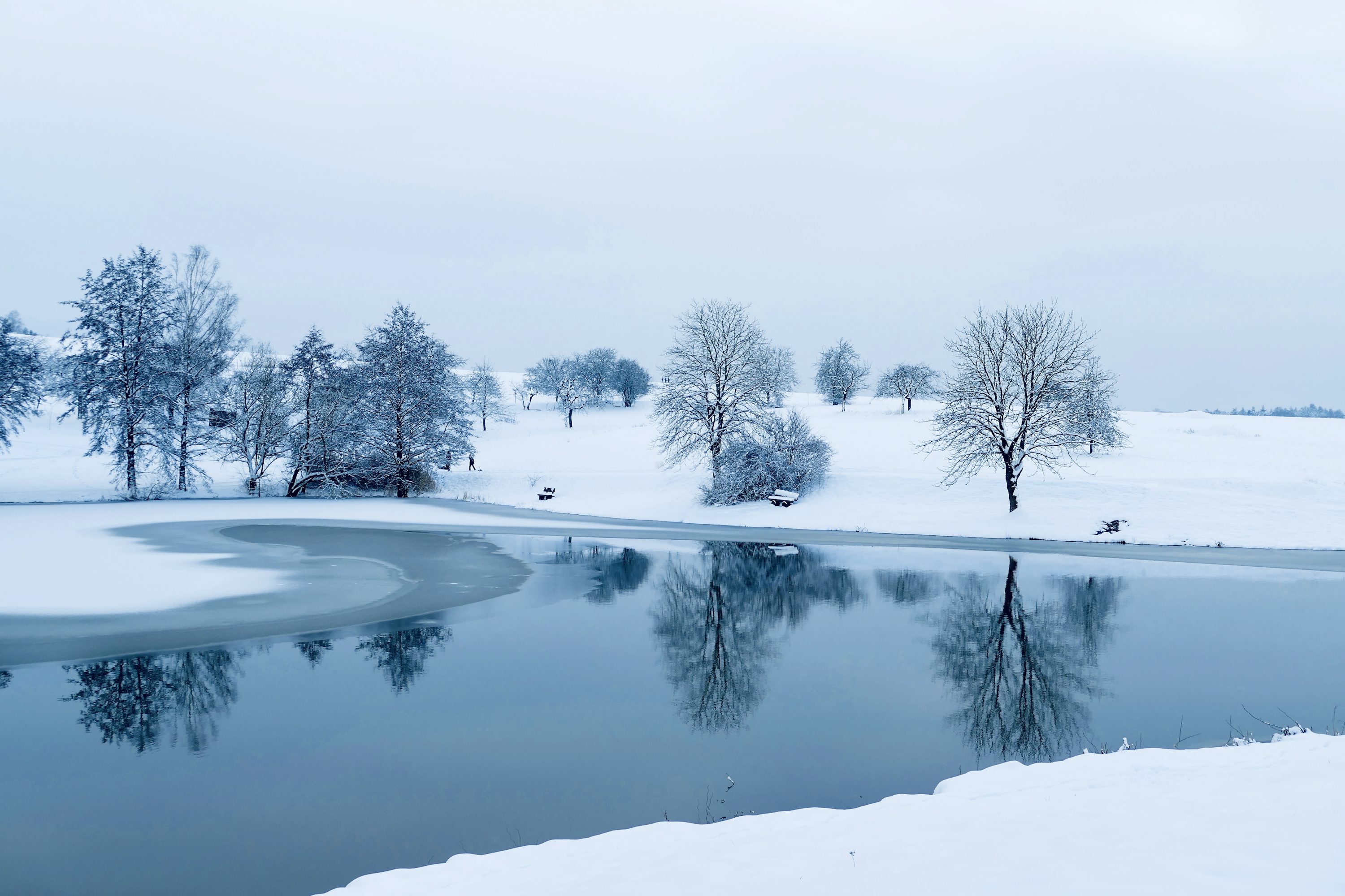 A frozen lake surrounded by snow covered trees photo