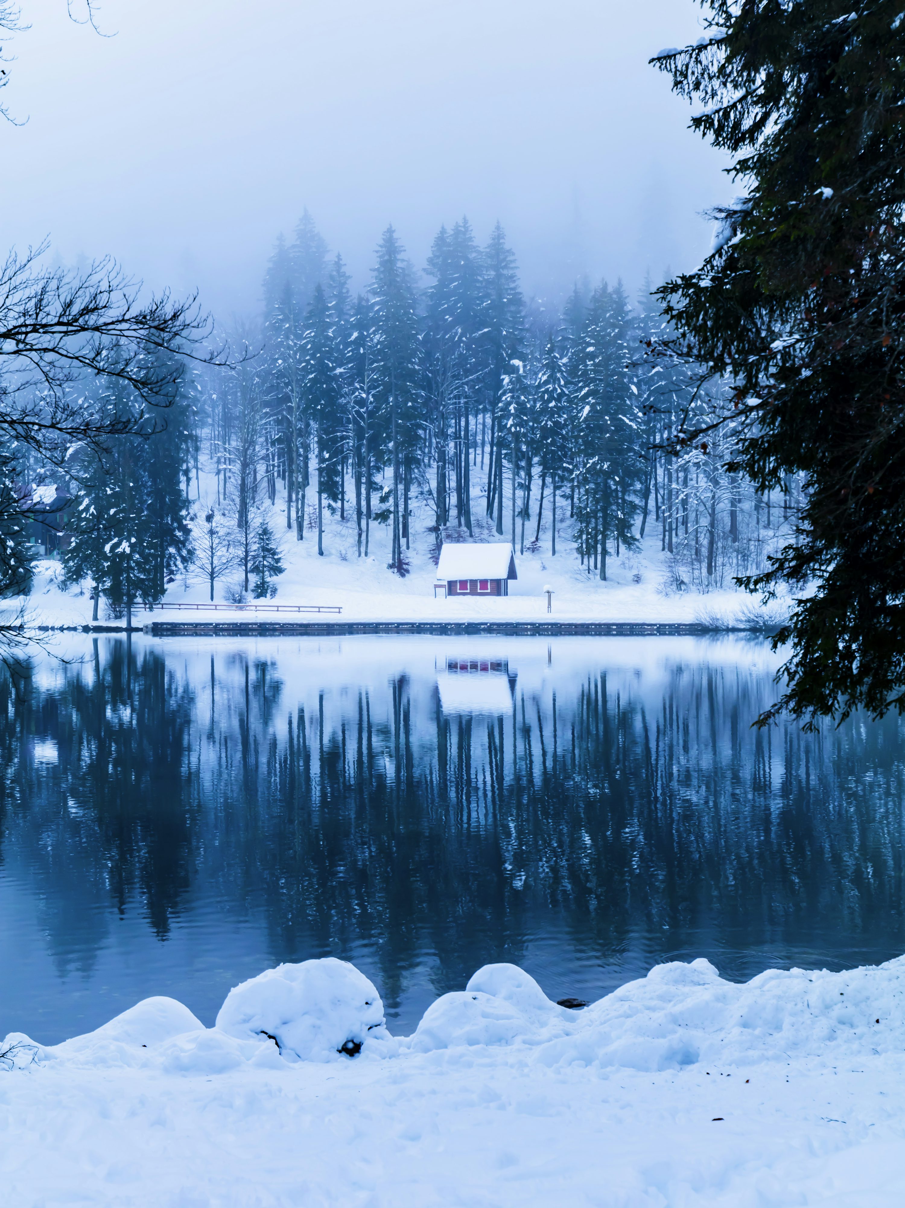 A lake surrounded by snow covered trees photo