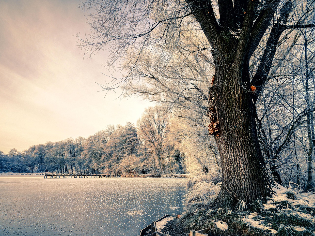 Frozen Lake Forest Sunset