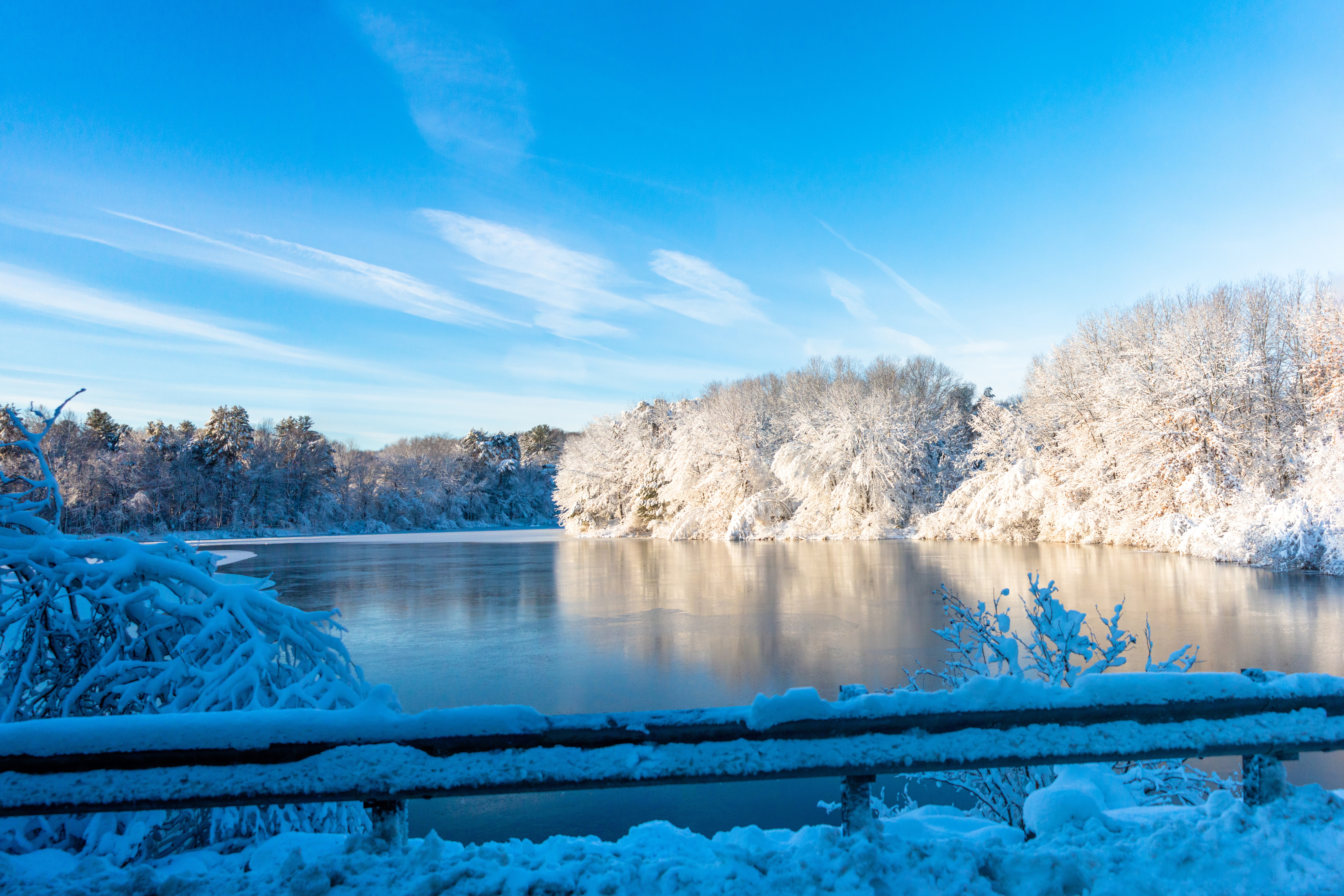 Frozen Lake With Frost Covered Trees On The Shore In Winter Desktop Wallpaper 1600x1200
