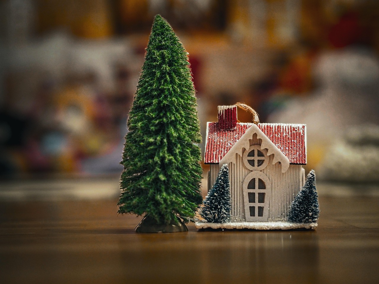 Christmas Tree Pine Spruce