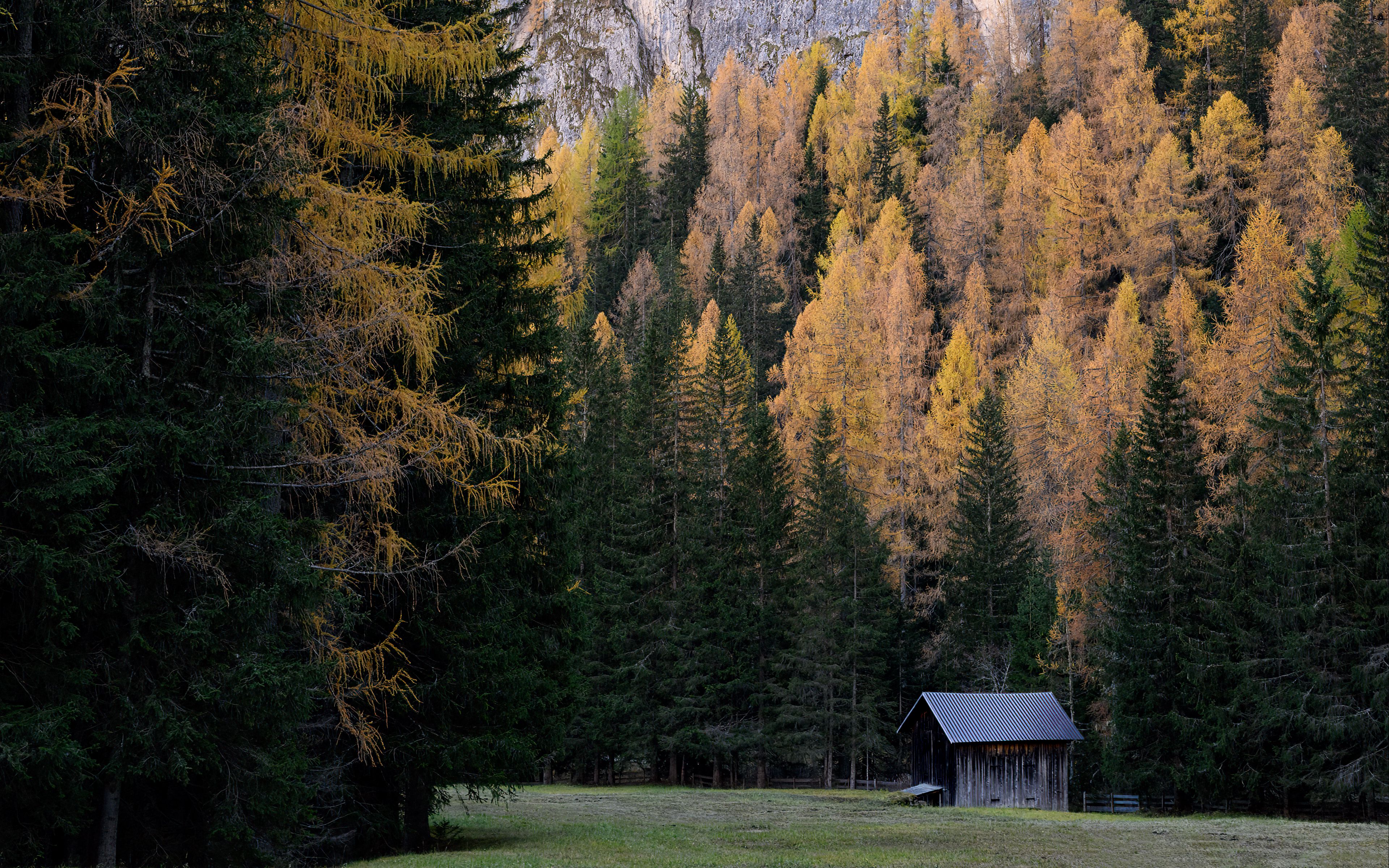 Cabin in the forest Wallpaper 4k for Desktop