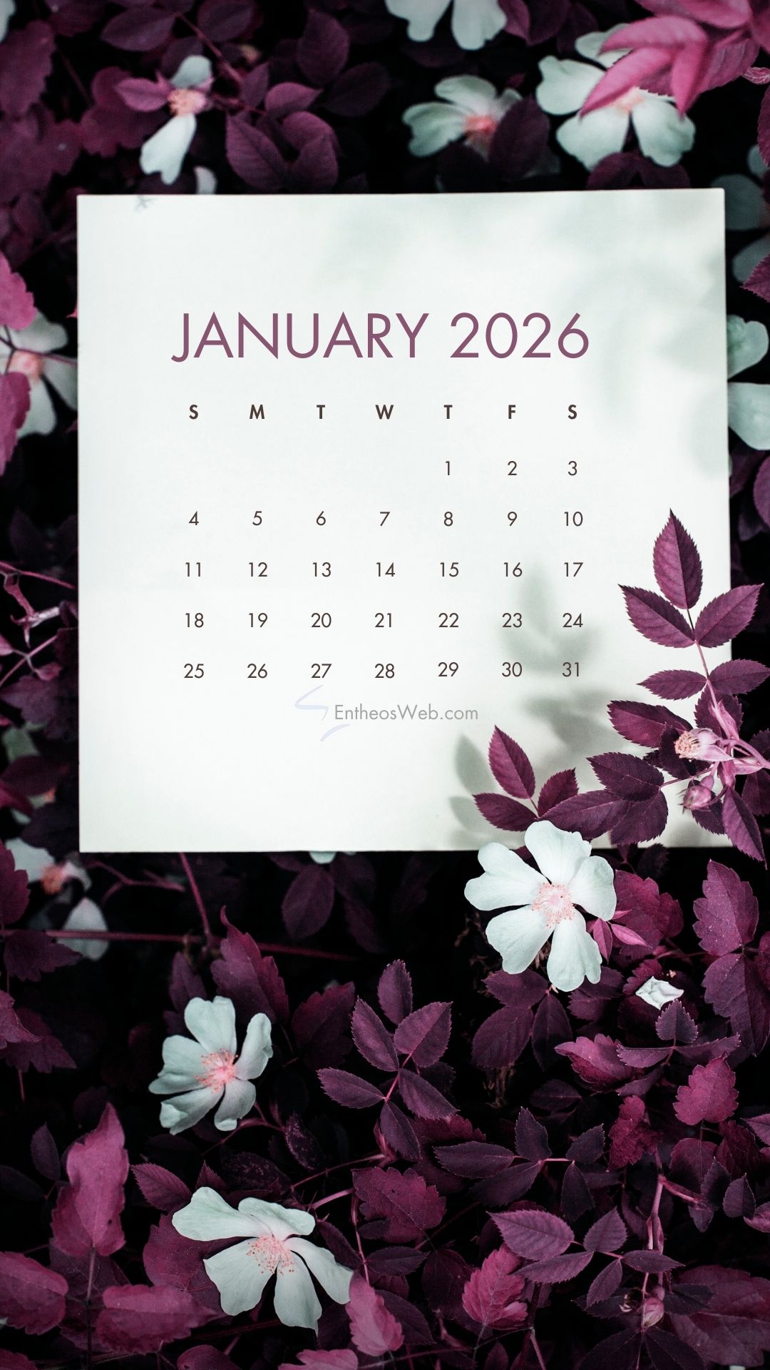 January 2026 Phone Wallpaper Calendars