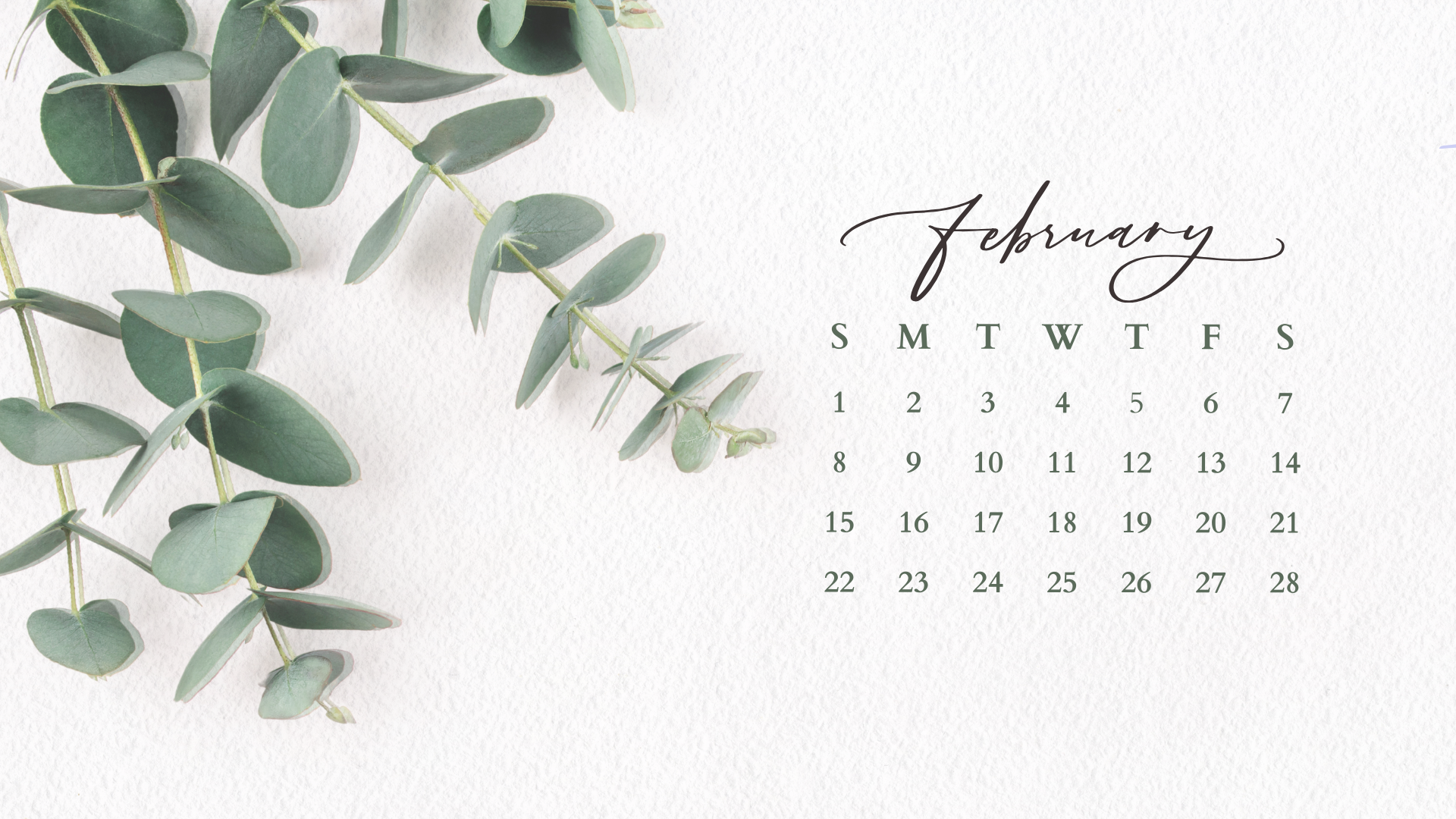 Free February 2026 Desktop Calendar Background (EASY DOWNLOAD)