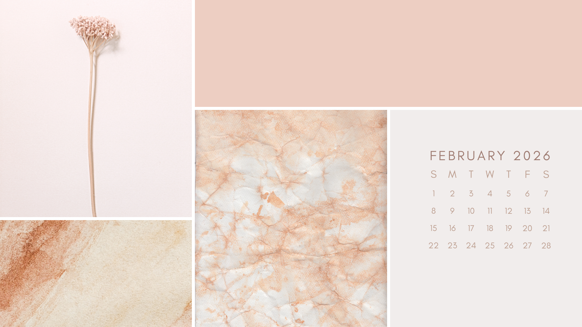 Free February 2026 Desktop Calendar Background (EASY DOWNLOAD)