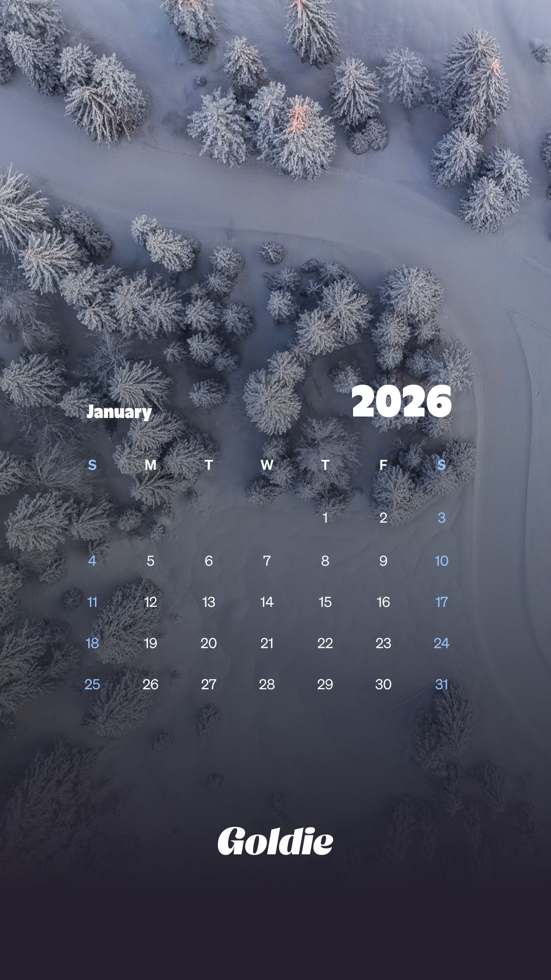 Free January 2026 Calendar Wallpaper