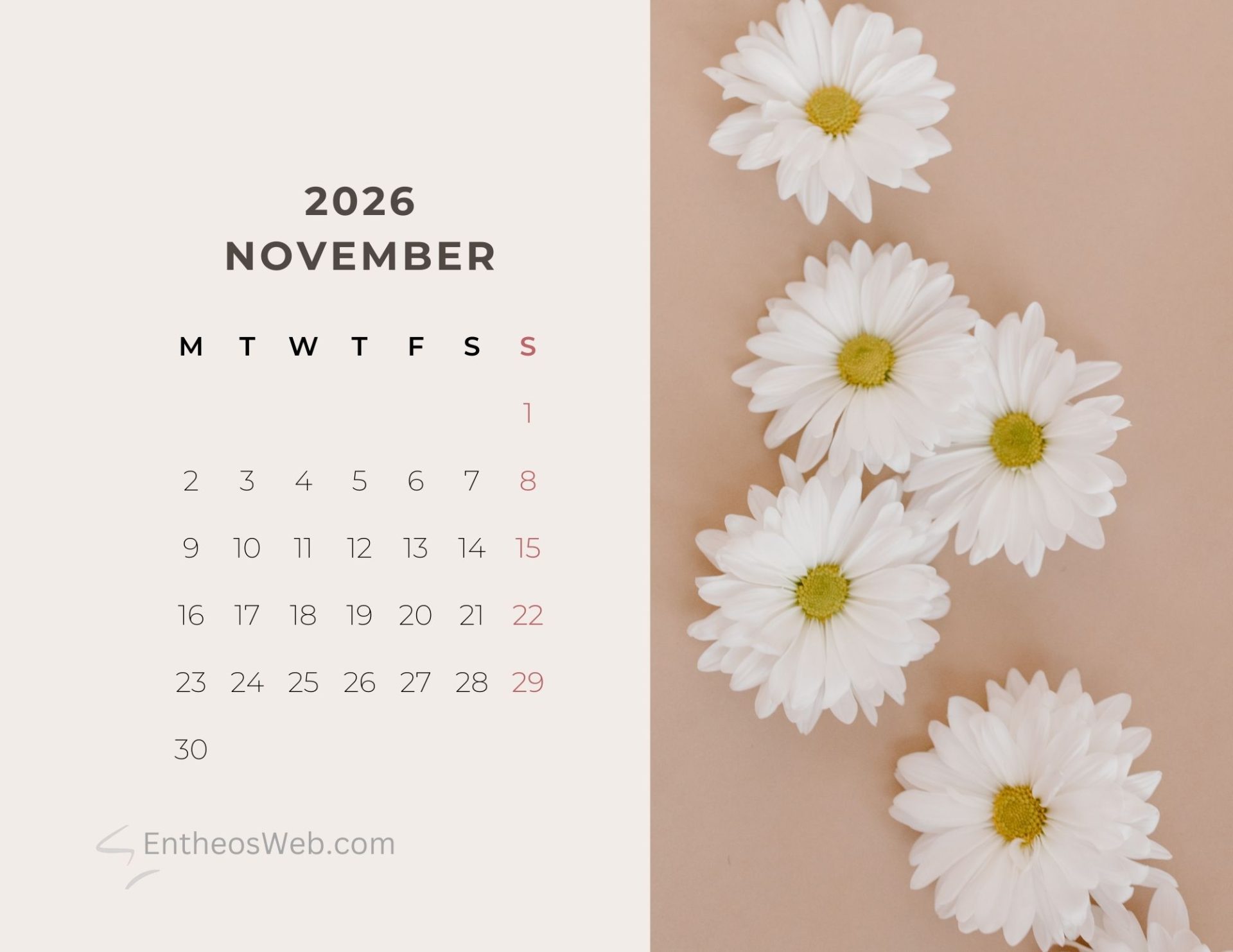 Beautiful Flowers 2026 Monthly Calendar Printable