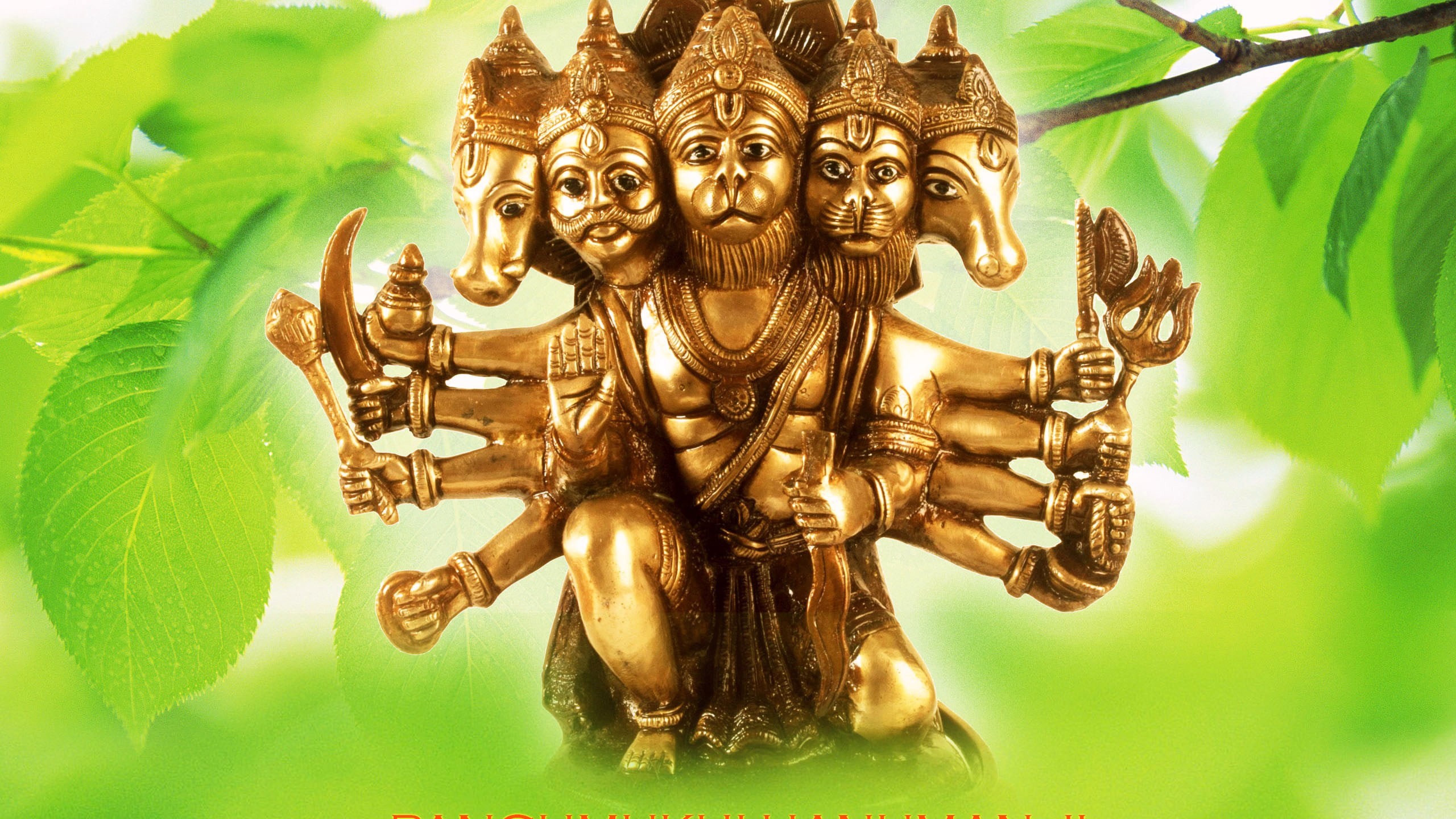 Panchmuki Hanuman Ji HD Hanuman Wallpaper
