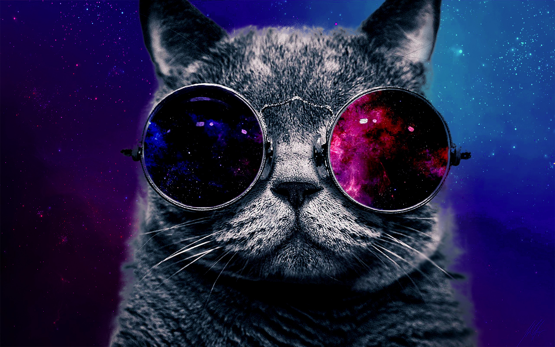 Cat With Big Glasses Wallpaperx1200
