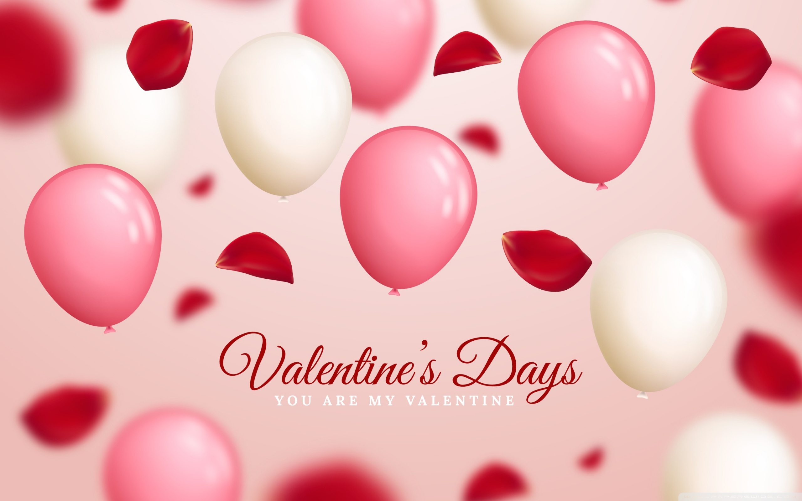 Happy Valentines Day 4K UHD Wallpaper for UltraHD Desktop and TV, Widescreen and UltraWide Display