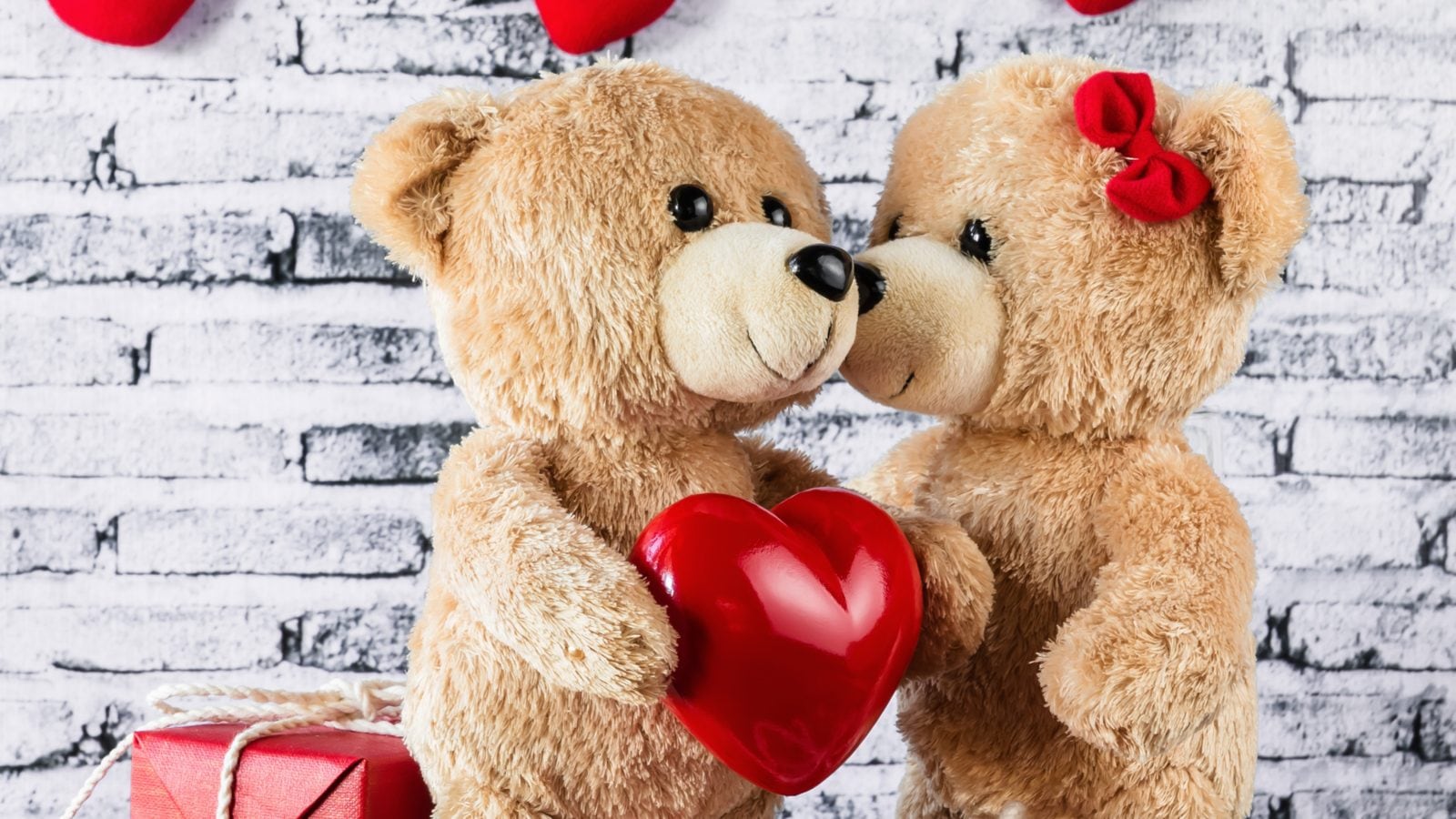 Hot teddy day photo HD 2026