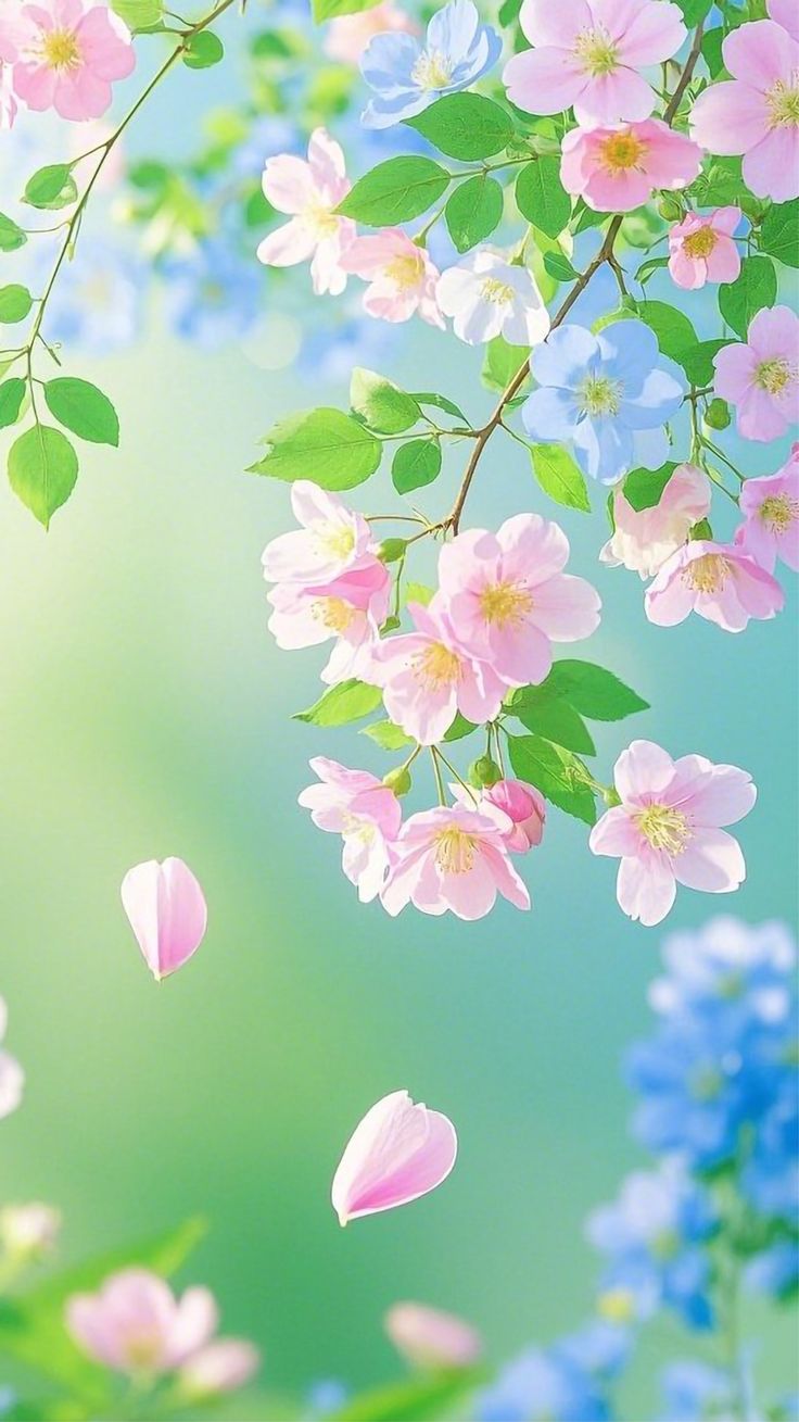 Pastel Flower Spring Wallpaper