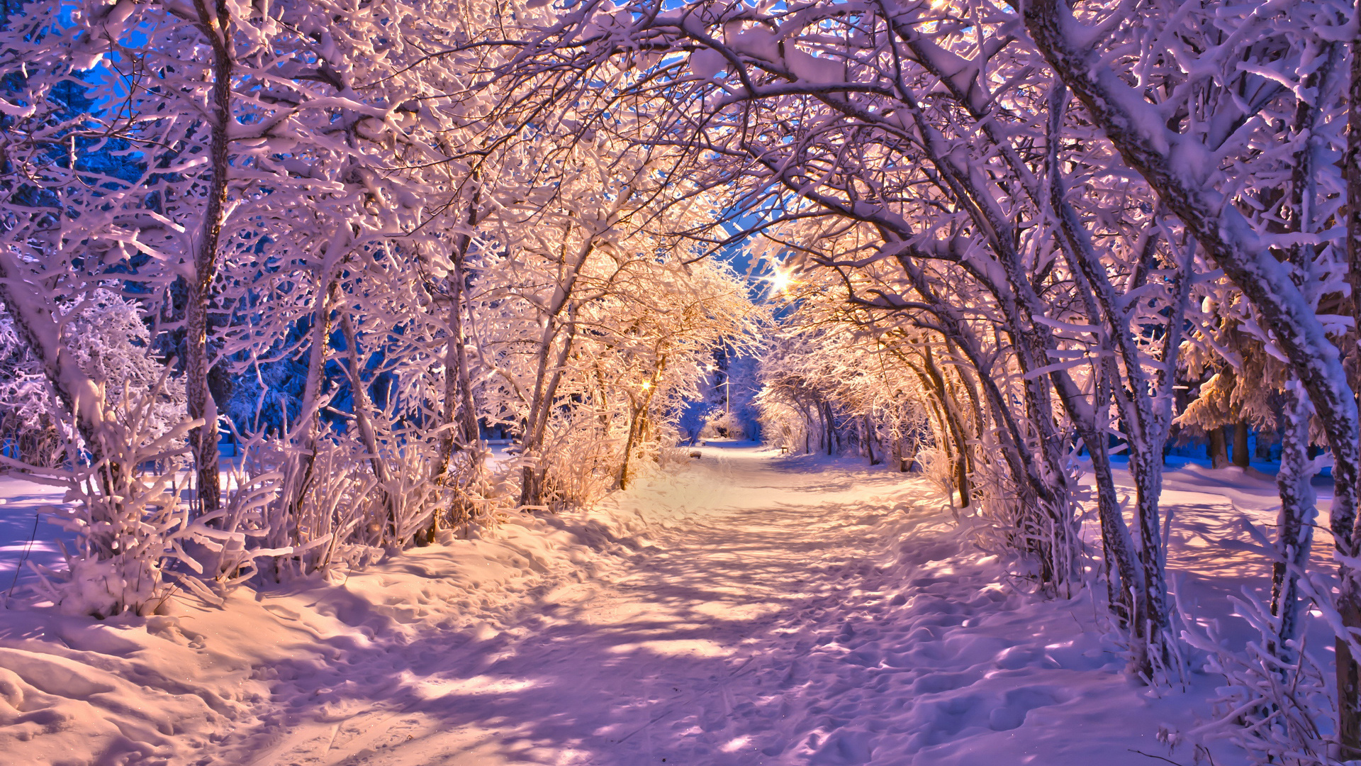 nature, Landscapes, Winter, Snow, Christmas, Sidewalk, Roads, Lights, White, Trees Wallpaper HD / Desktop and Mobile Background