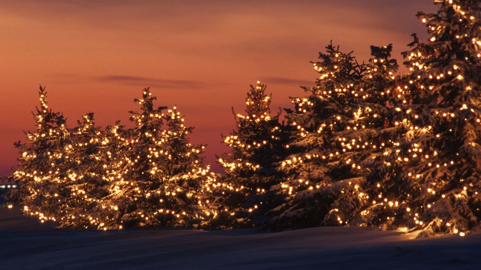 Download Festive Winter Wonderland with Christmas Tree and Snowfall