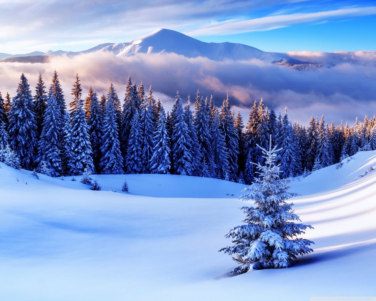 Winter Seasons Wallpaper, HD Winter Seasons Background on WallpaperBat