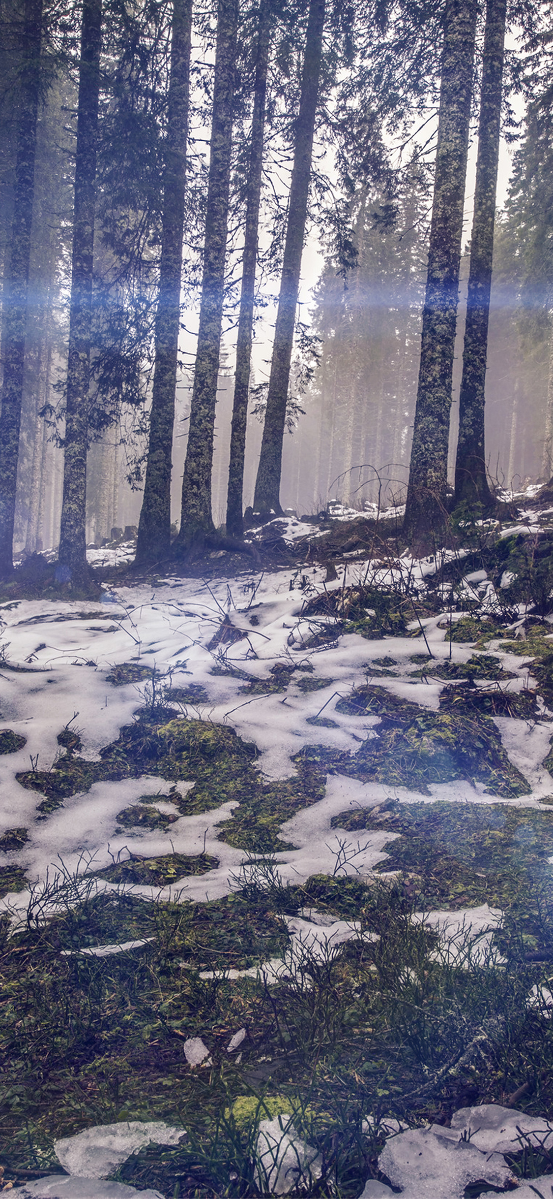 mountain snow woods nature blue flare