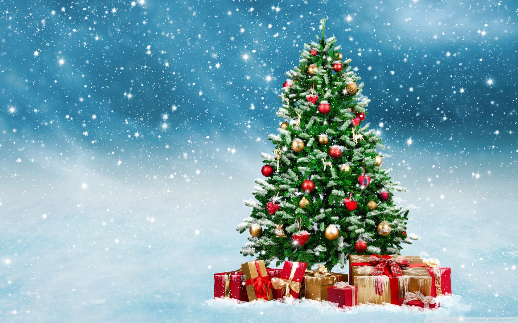 Christmas Trees Decorated in Red and Gold 4K UHD Wallpaper for UltraHD Desktop and TV, Widescreen and UltraWide Display, Smartphone and Tablet Devices