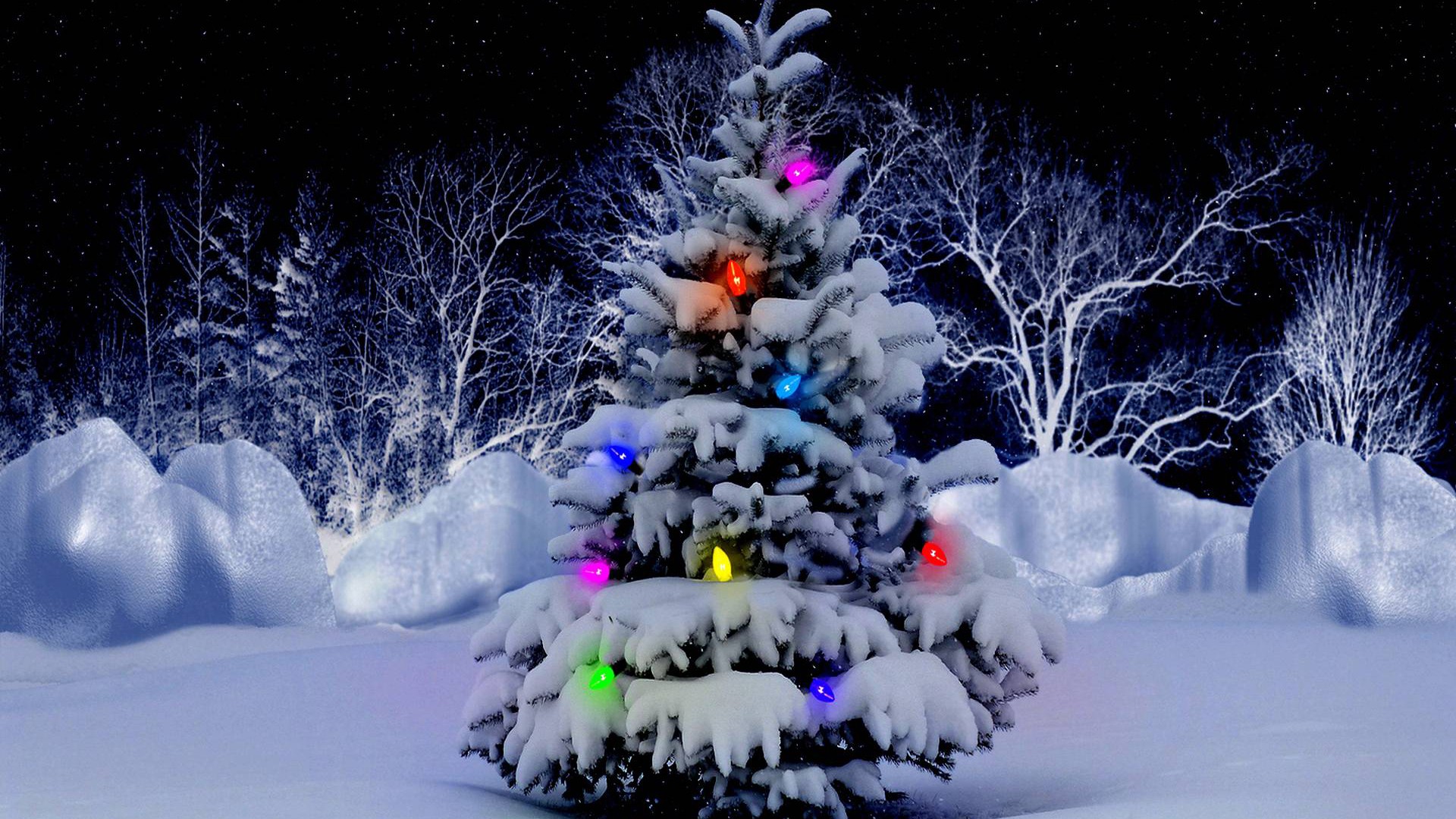 Snow Covered Christmas Tree With Beautiful Lights HD Christmas Tree Wallpaper